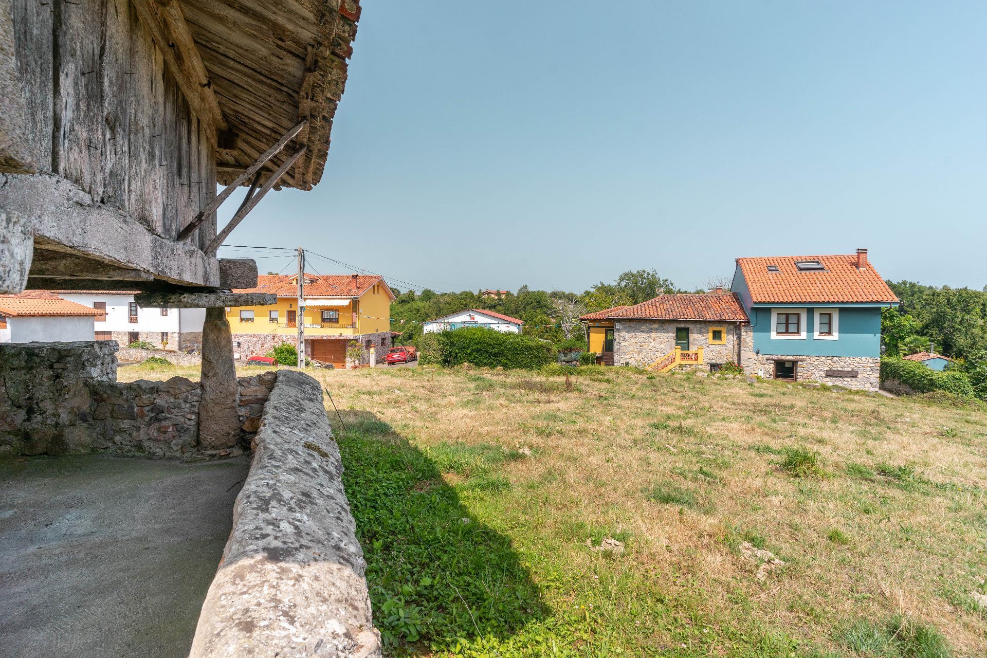 Fincas y solares-Venta-Colunga-1886260-Foto-16