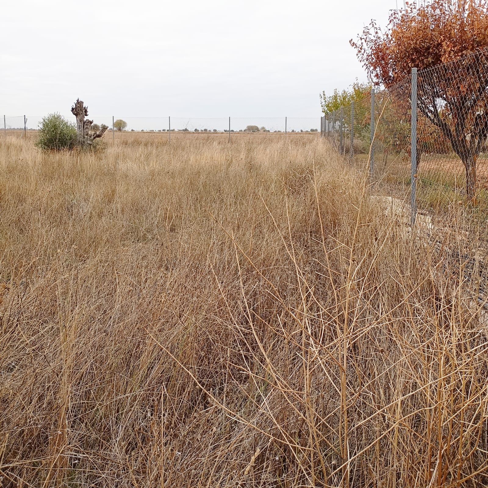 Terreno de 666 M² Urbanizable en Yepes Provincia de Toledo.