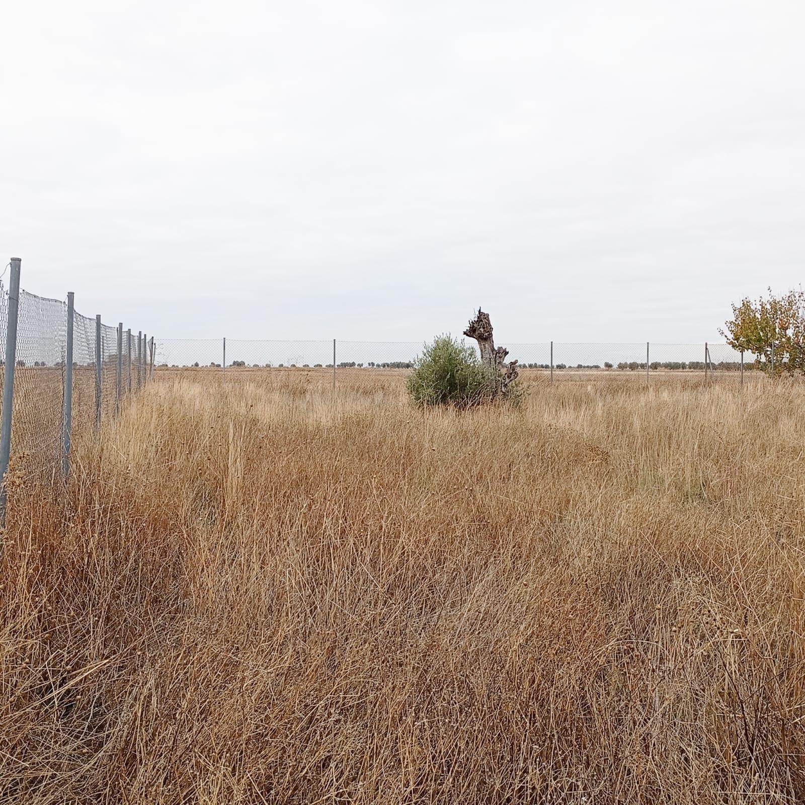 Terreno de 666 M² Urbanizable en Yepes Provincia de Toledo.