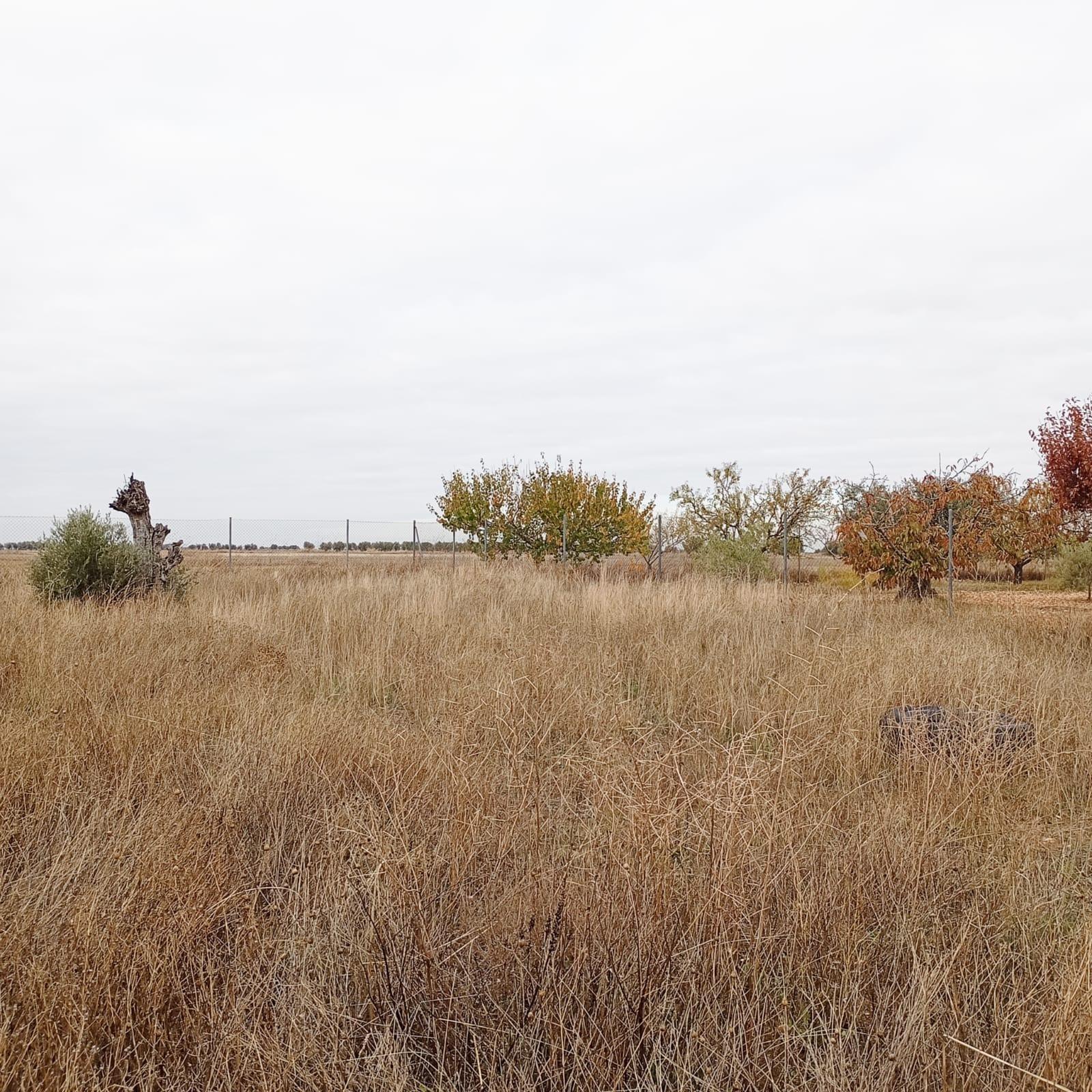 Terreno de 666 M² Urbanizable en Yepes Provincia de Toledo.