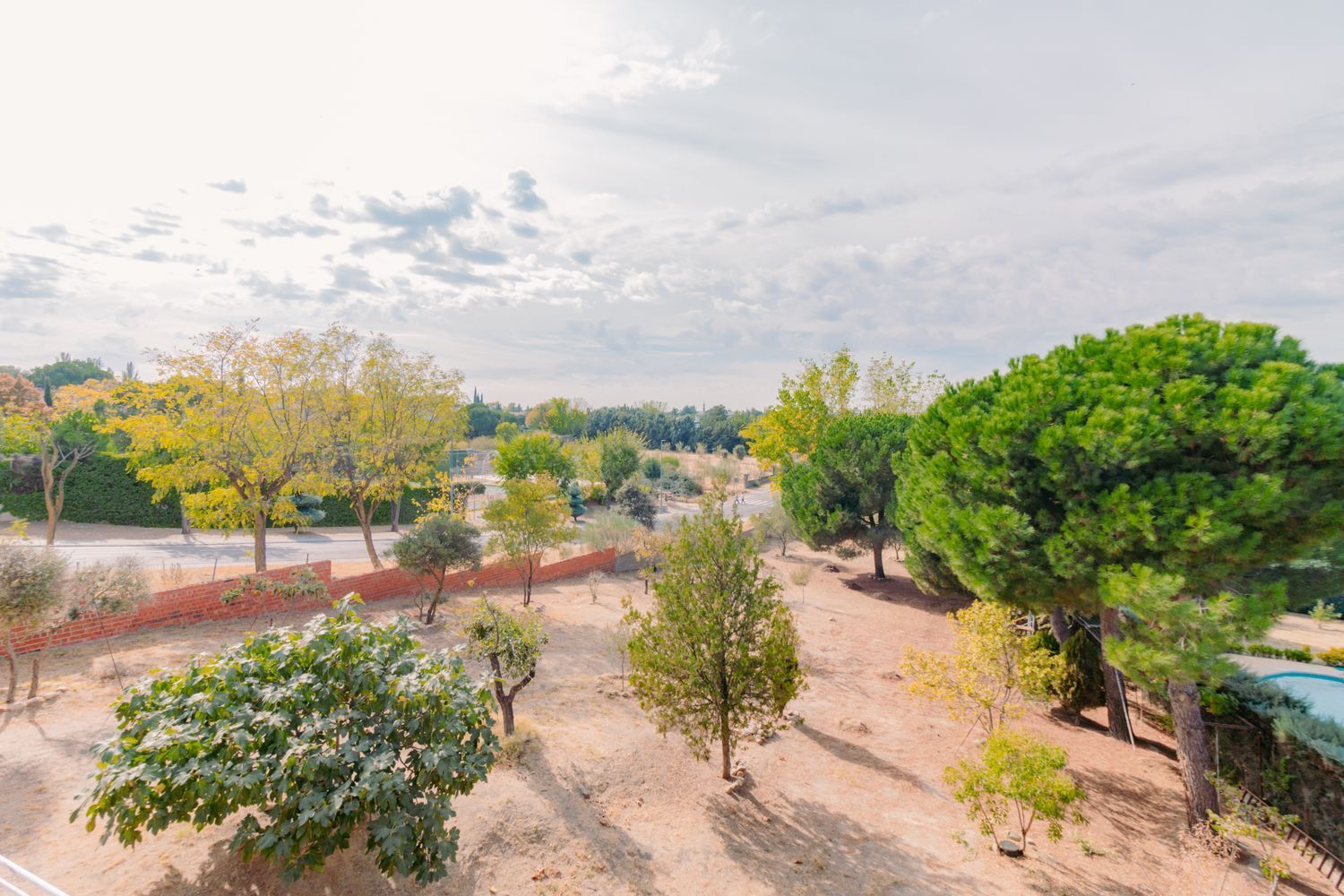 Casas o chalets-Venta-Las Rozas de Madrid-2032844-Foto-45