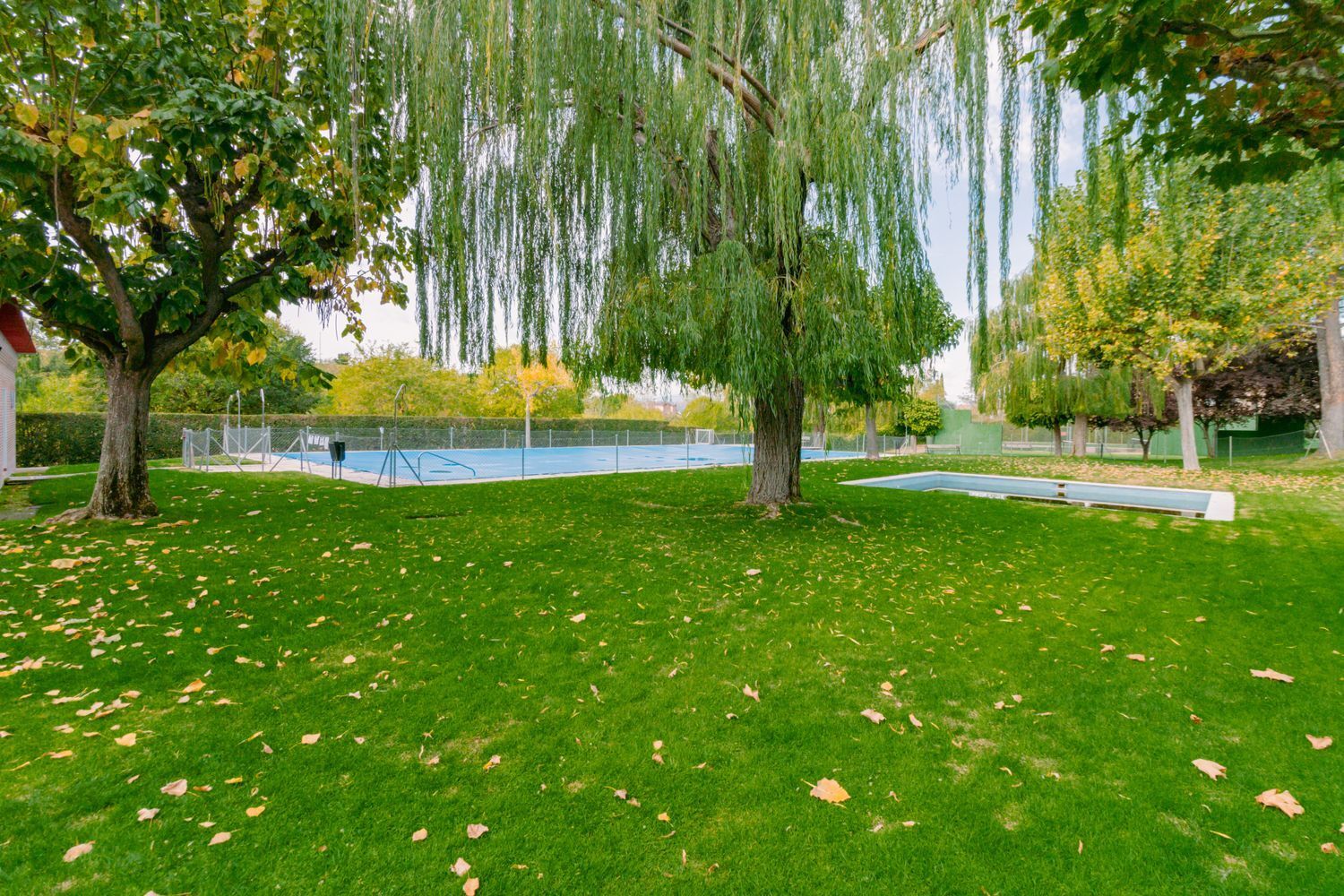 Casas o chalets-Venta-Las Rozas de Madrid-2032844-Foto-54