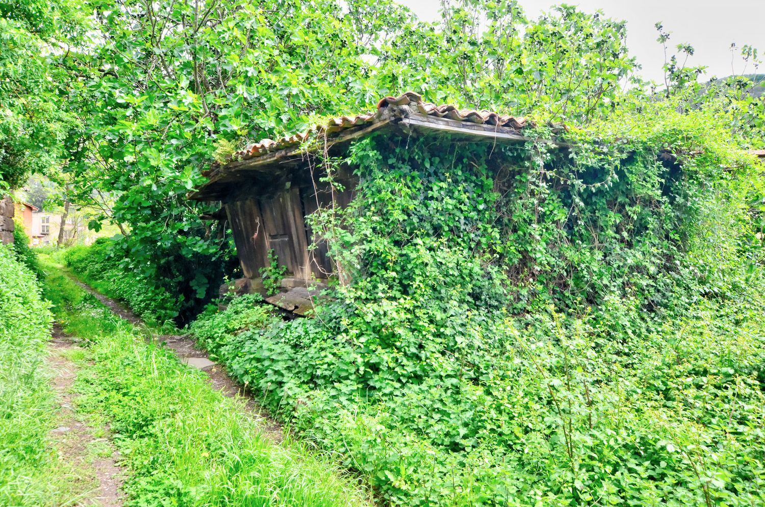 Casas o chalets-Venta-Mieres-1723333-Foto-3