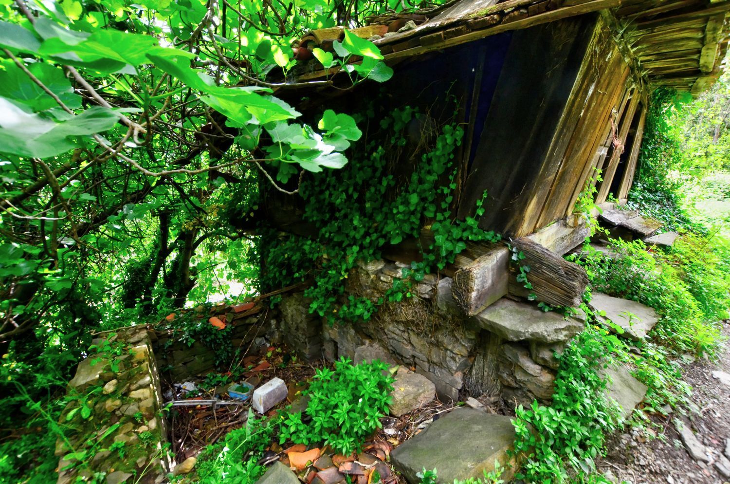 Casas o chalets-Venta-Mieres-1723333-Foto-4