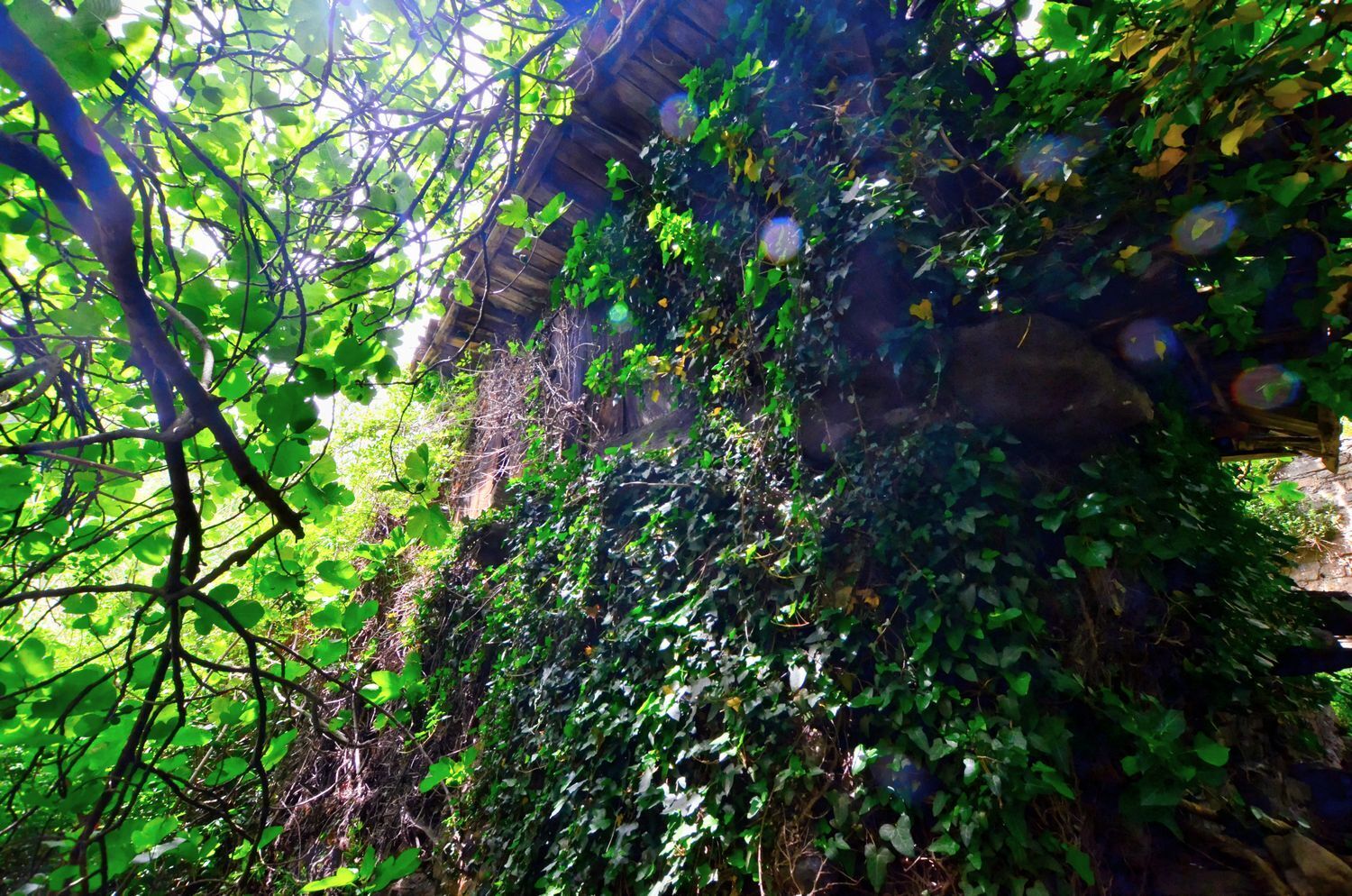 Casas o chalets-Venta-Mieres-1723333-Foto-9