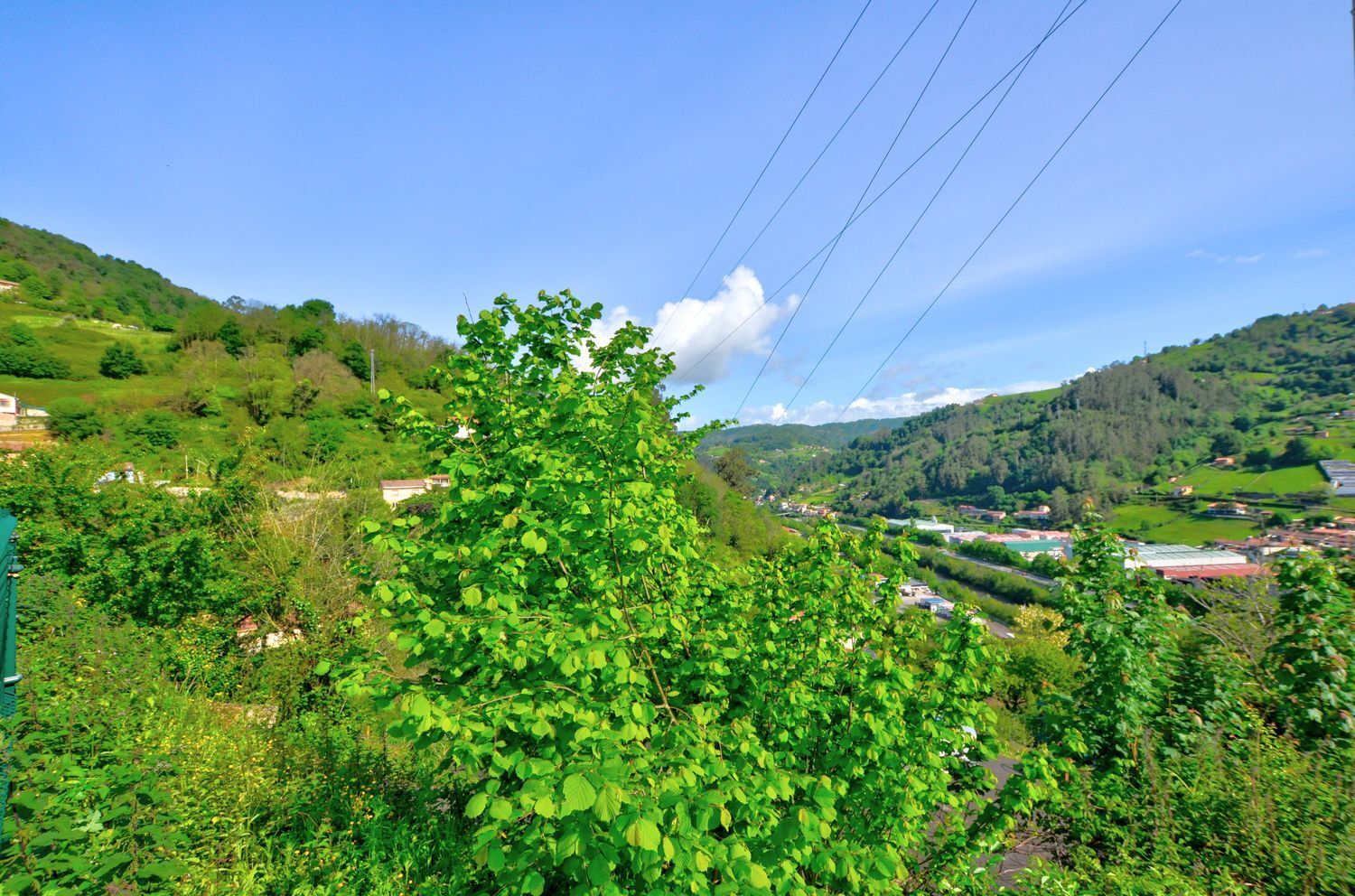 Casas o chalets-Venta-San MartÃ­n del Rey Aurelio-1731775-Foto-17