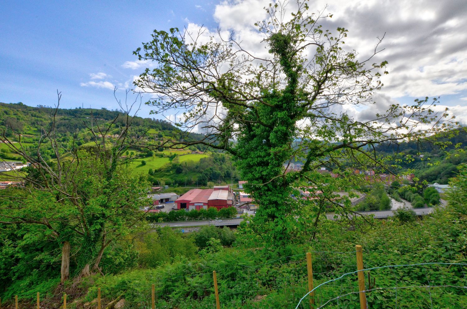 Casas o chalets-Venta-San MartÃ­n del Rey Aurelio-1731775-Foto-37