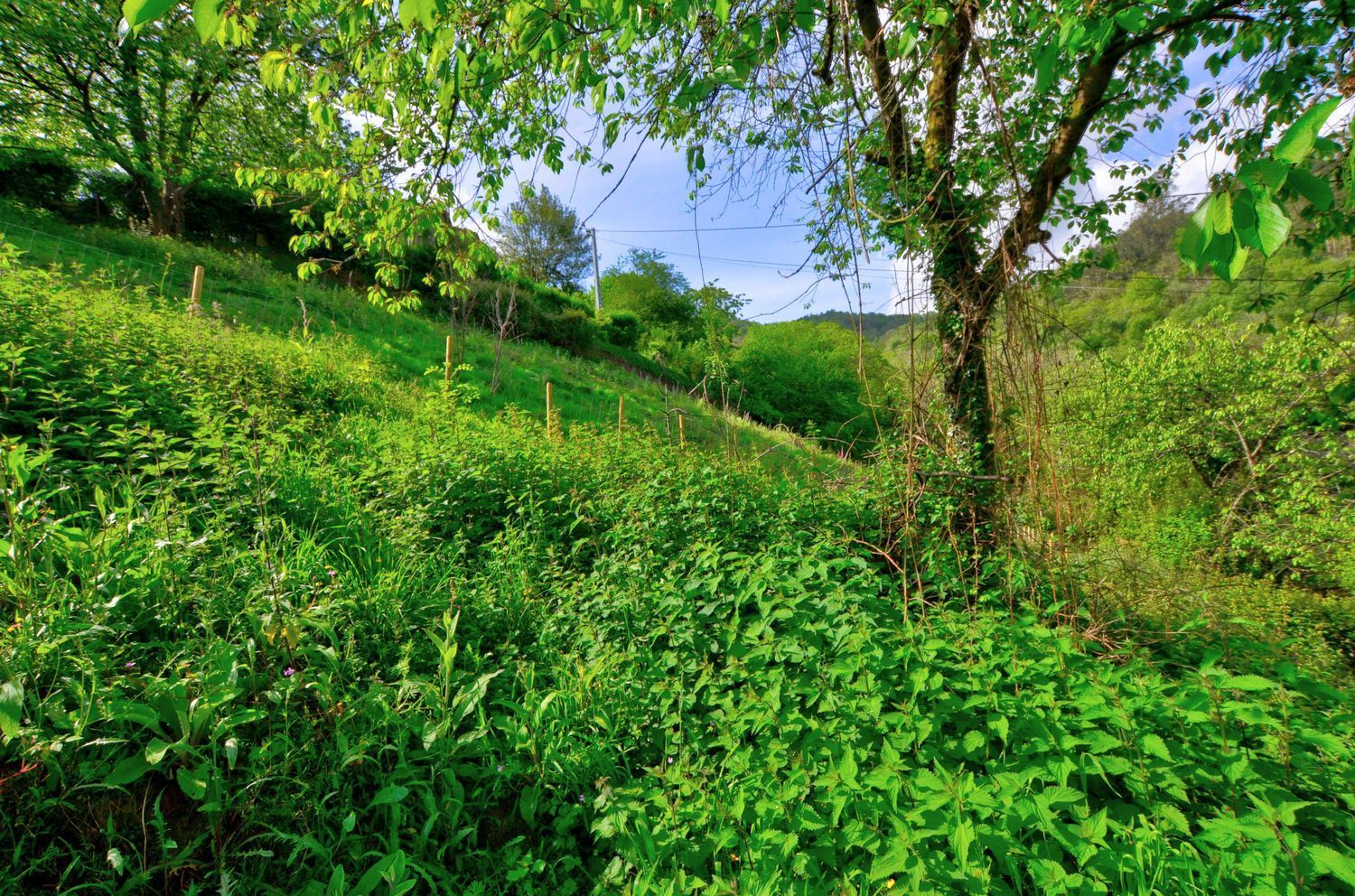 Casas o chalets-Venta-San MartÃ­n del Rey Aurelio-1731775-Foto-44