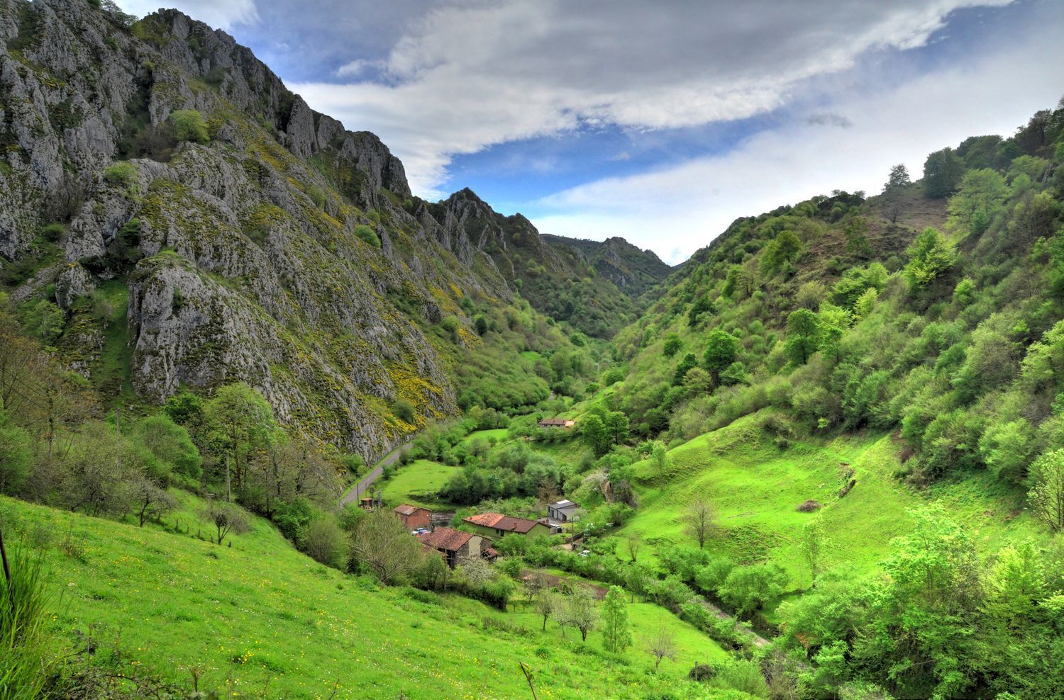 Casas o chalets-Venta-PiloÃ±a-1723336-Foto-5