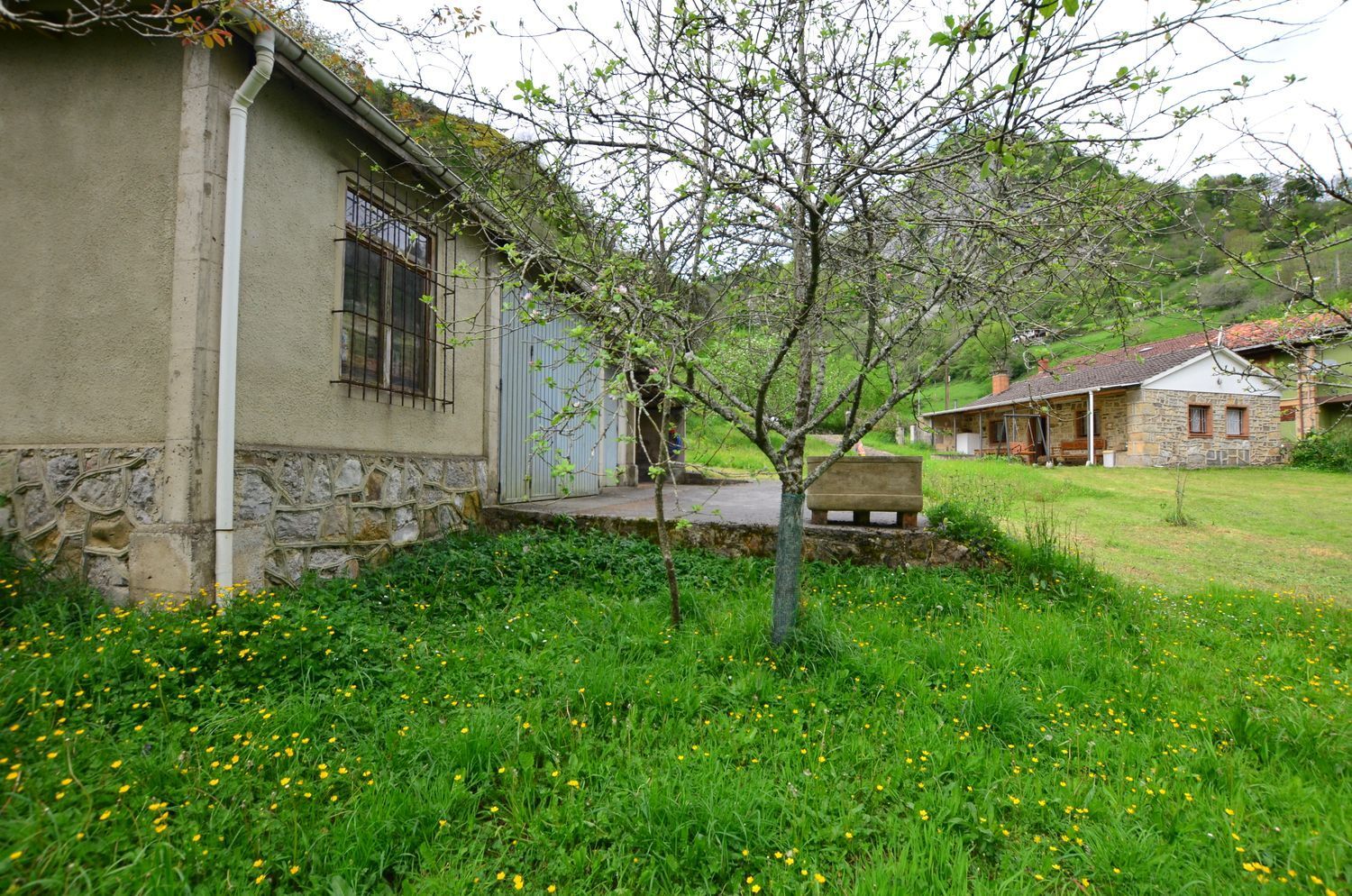 Casas o chalets-Venta-PiloÃ±a-1723336-Foto-28