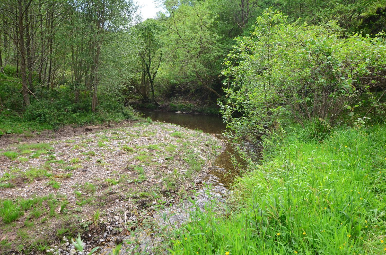 Casas o chalets-Venta-PiloÃ±a-1723336-Foto-33