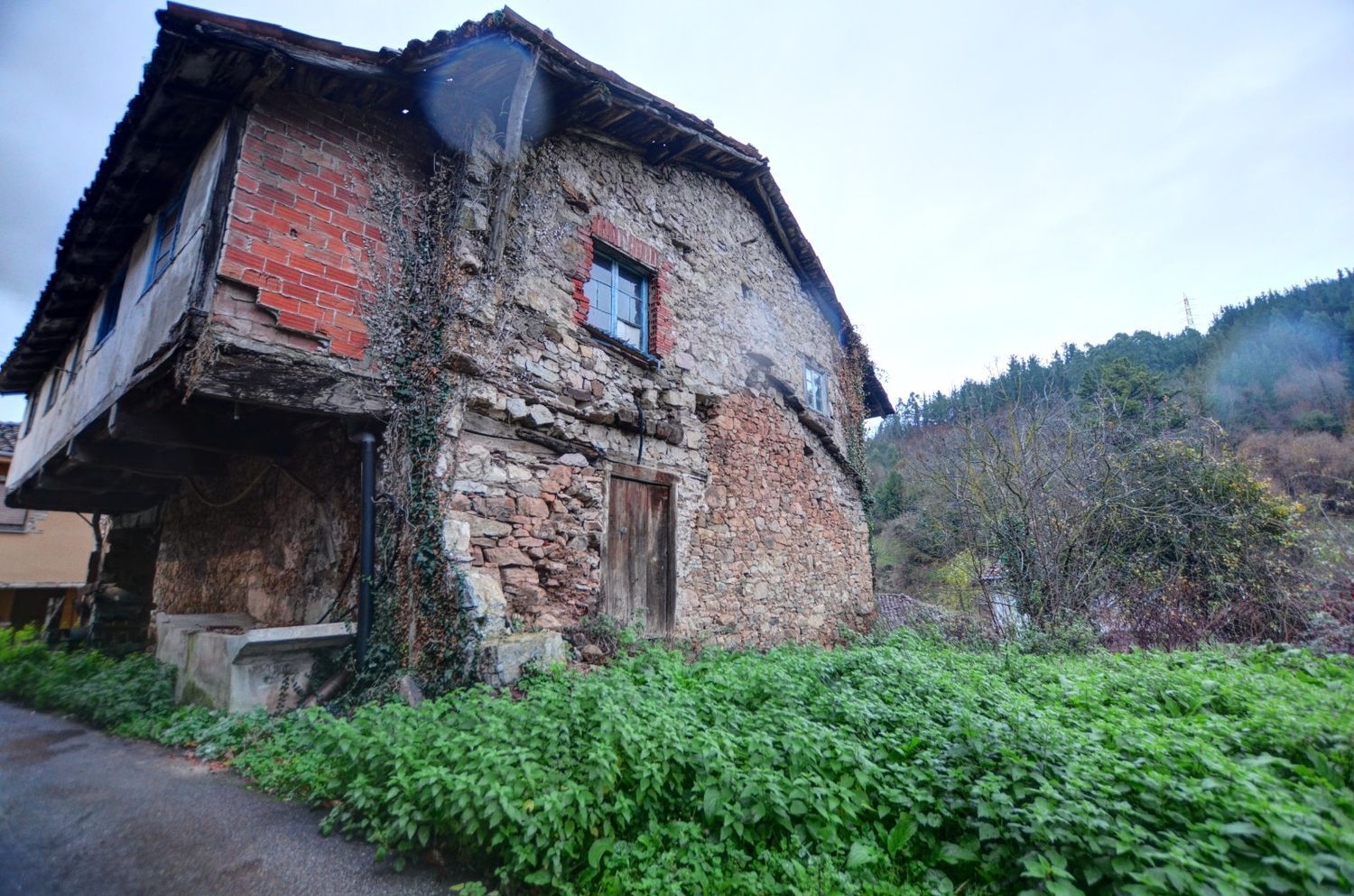 Propiedad en venta en Asturias, Tineo