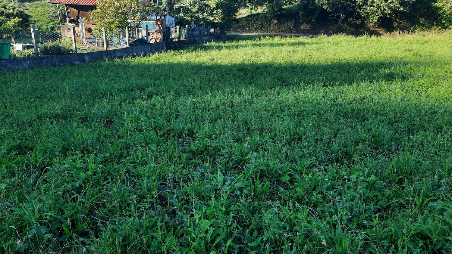 Fincas y solares-Venta-GijÃ³n-1398348-Foto-5