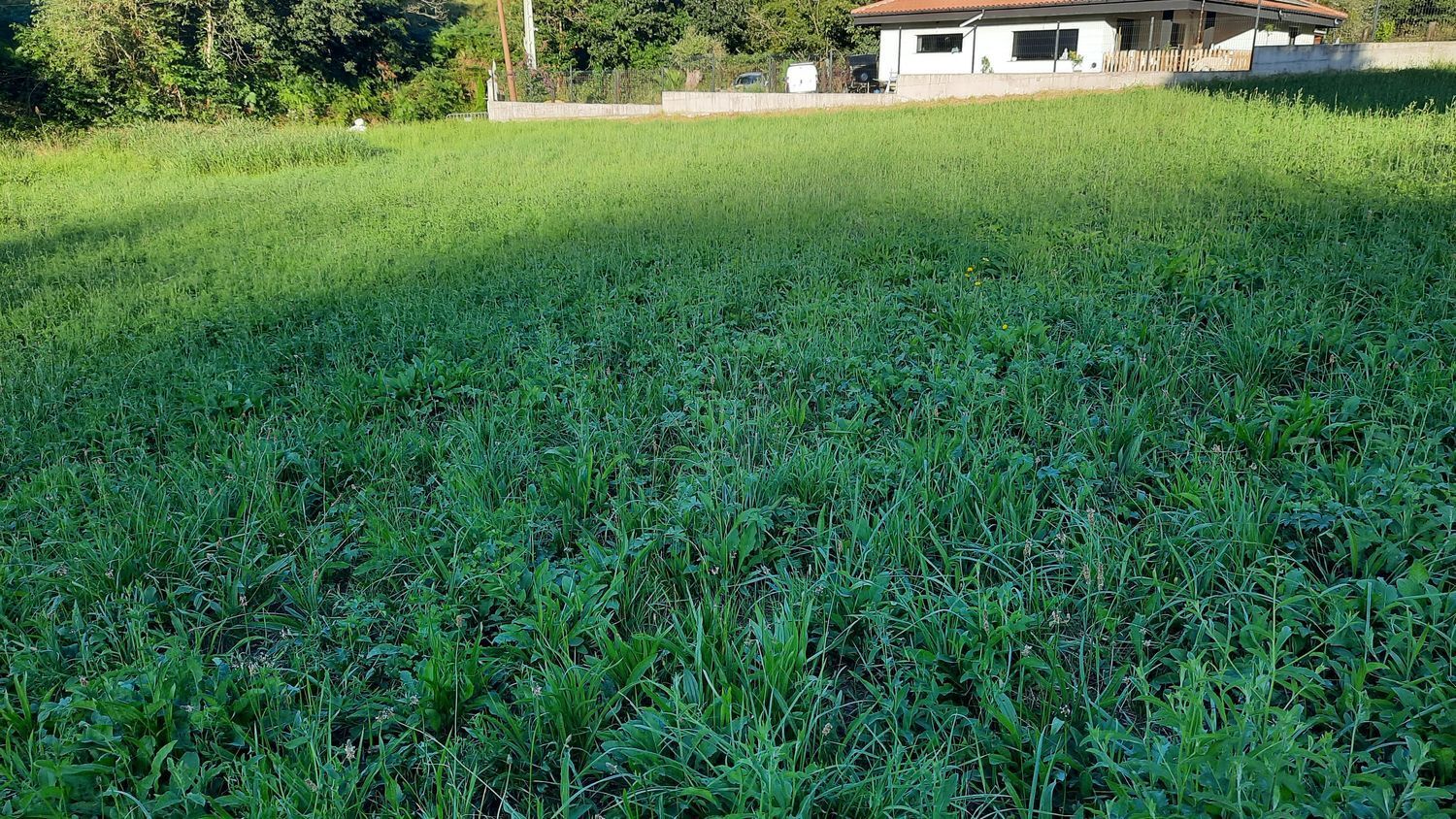 Fincas y solares-Venta-GijÃ³n-1398348-Foto-8