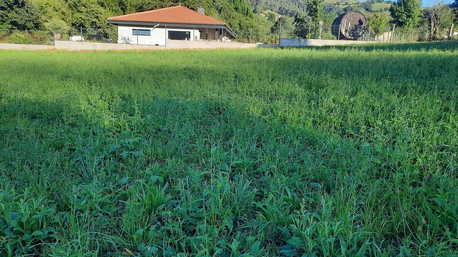 Fincas y solares-Venta-GijÃ³n-1398348-Foto-16