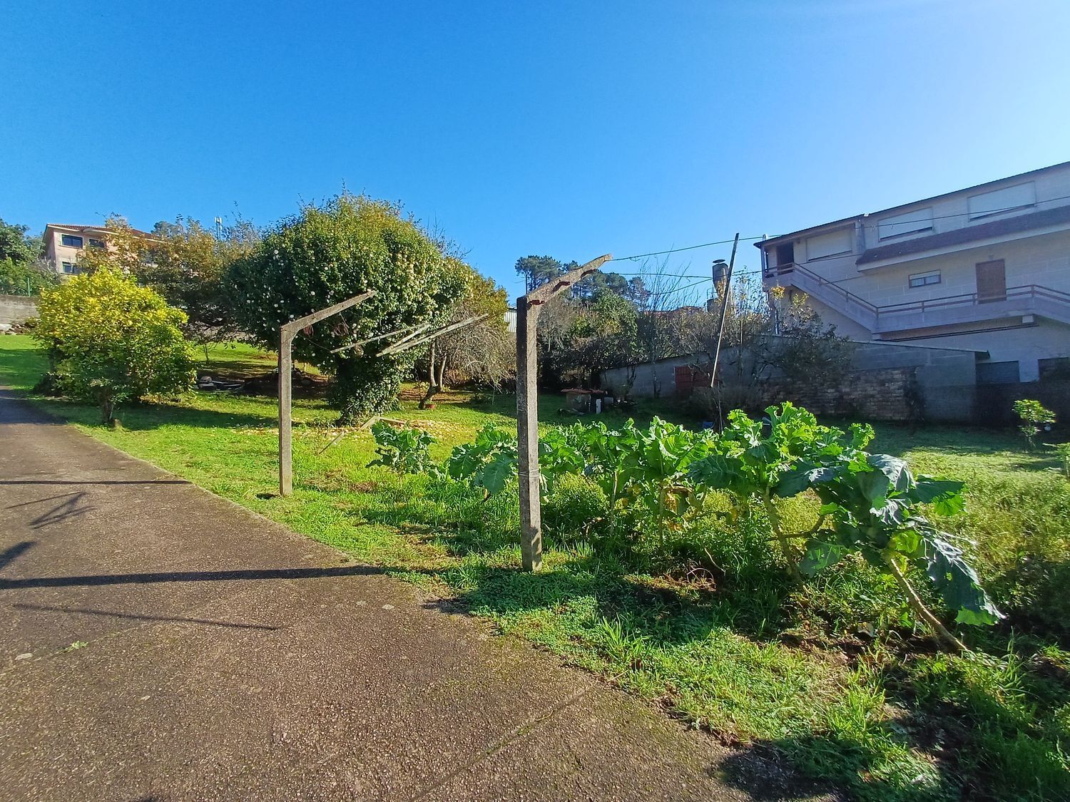 Fincas y solares-Venta-Vigo-2032748-Foto-5