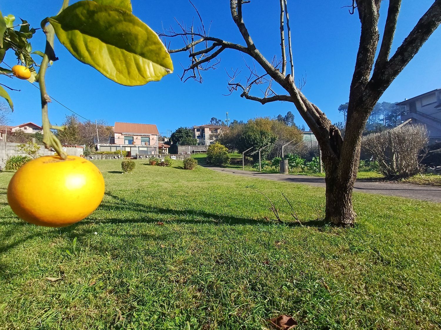 Fincas y solares-Venta-Vigo-2032748-Foto-2