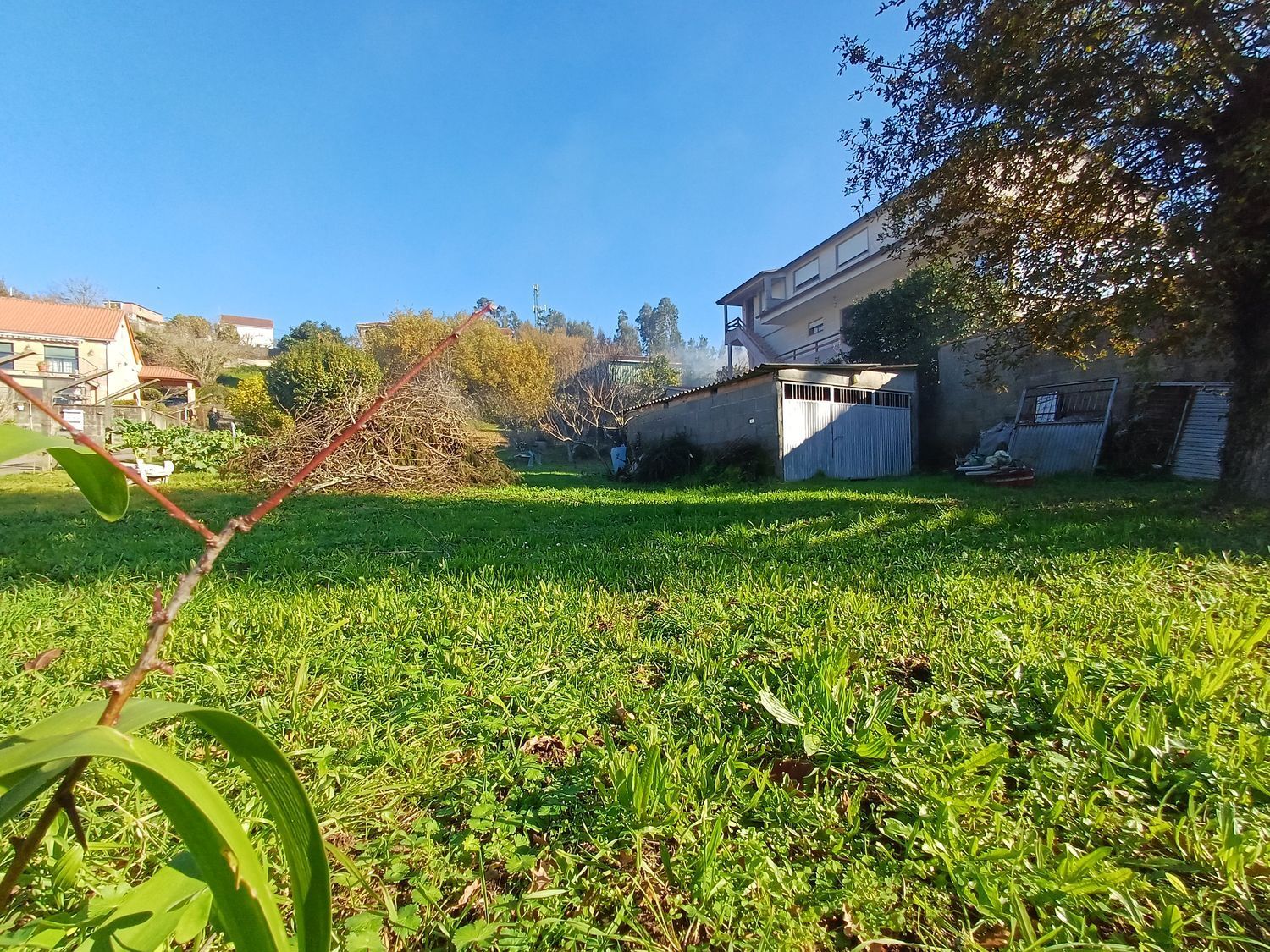 Fincas y solares-Venta-Vigo-2032748-Foto-4