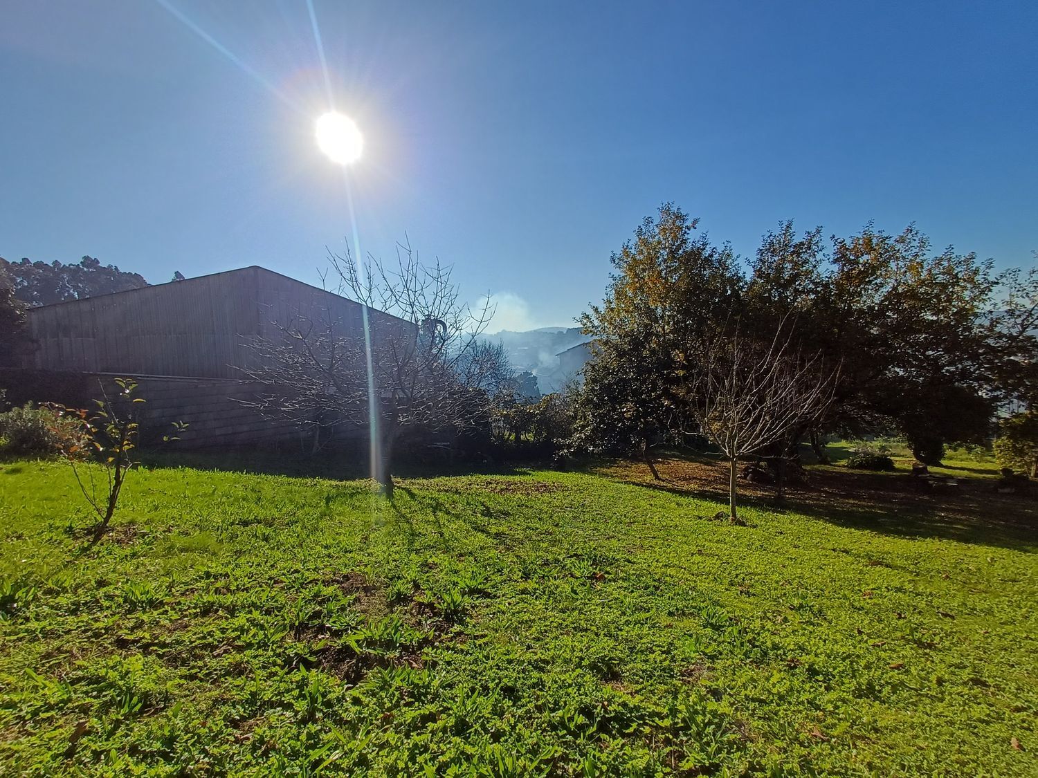 Fincas y solares-Venta-Vigo-2032748-Foto-20