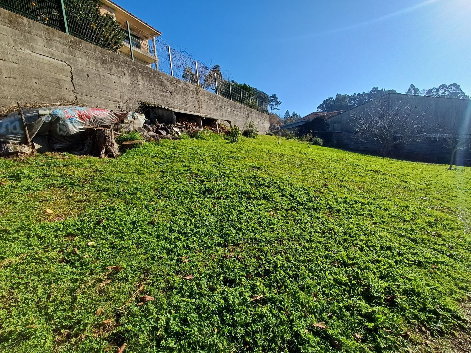 Fincas y solares-Venta-Vigo-2032748-Foto-12