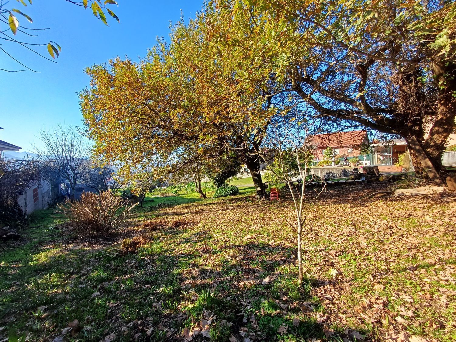 Fincas y solares-Venta-Vigo-2032748-Foto-25