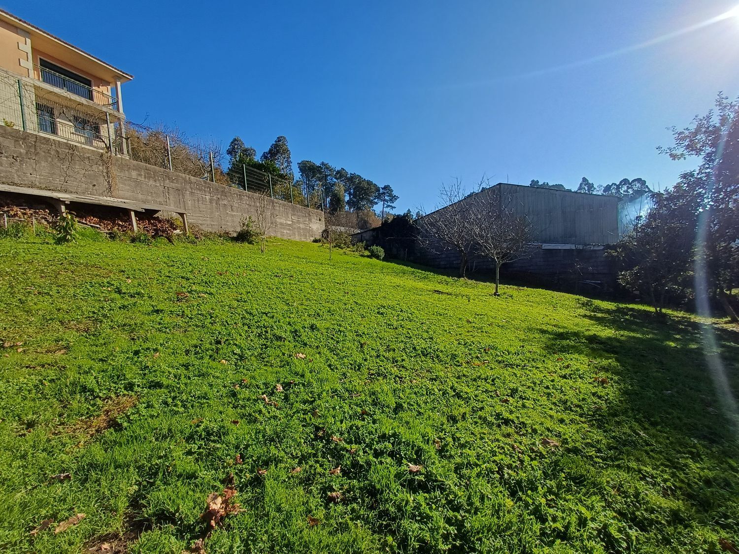 Fincas y solares-Venta-Vigo-2032748-Foto-22