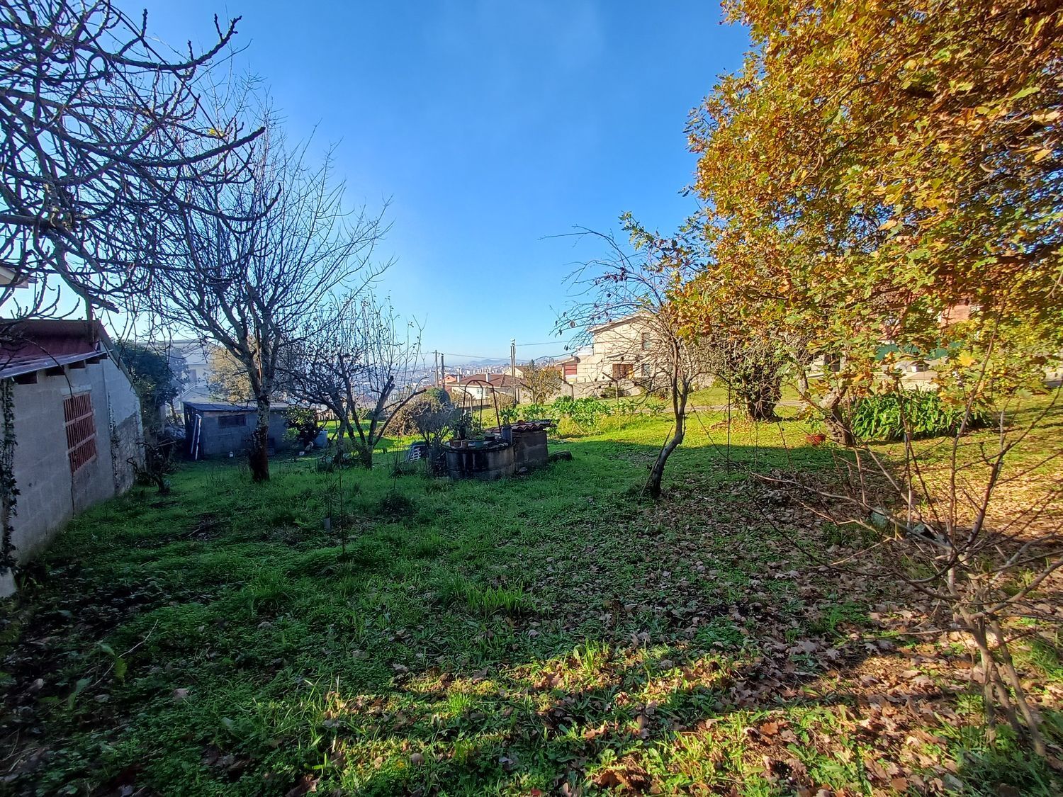 Fincas y solares-Venta-Vigo-2032748-Foto-26