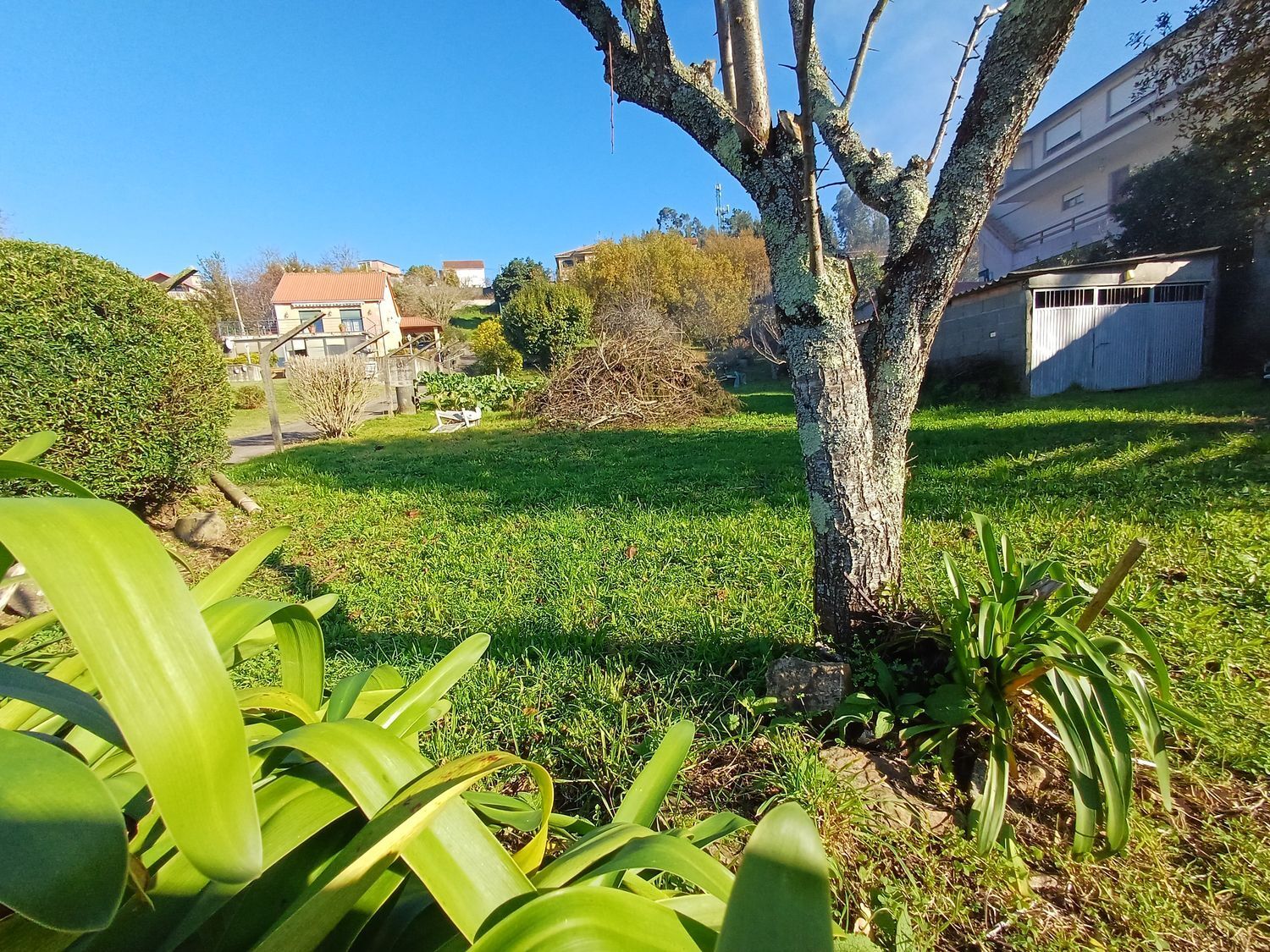 Fincas y solares-Venta-Vigo-2032748-Foto-28