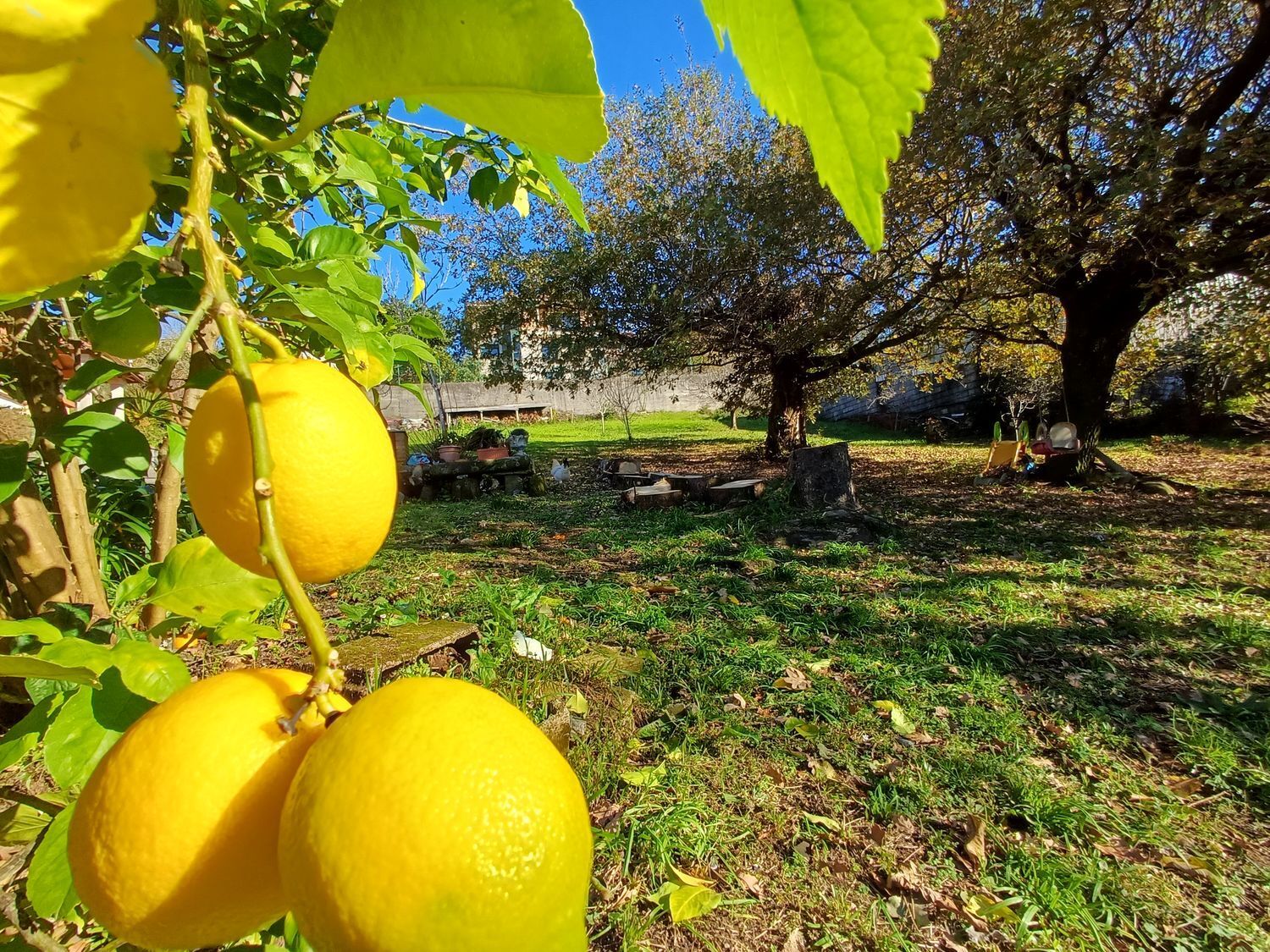 Fincas y solares-Venta-Vigo-2032748-Foto-35