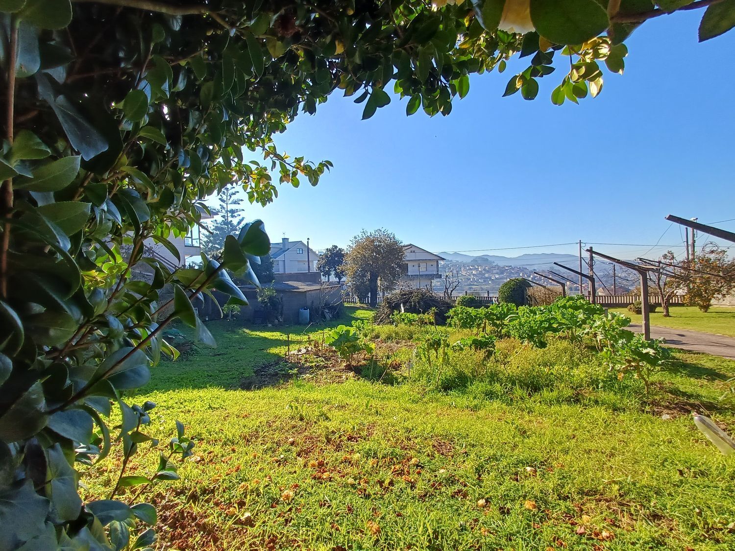 Fincas y solares-Venta-Vigo-2032748-Foto-36