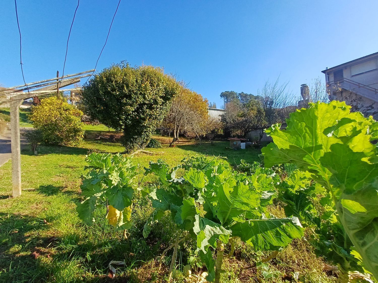 Fincas y solares-Venta-Vigo-2032748-Foto-34