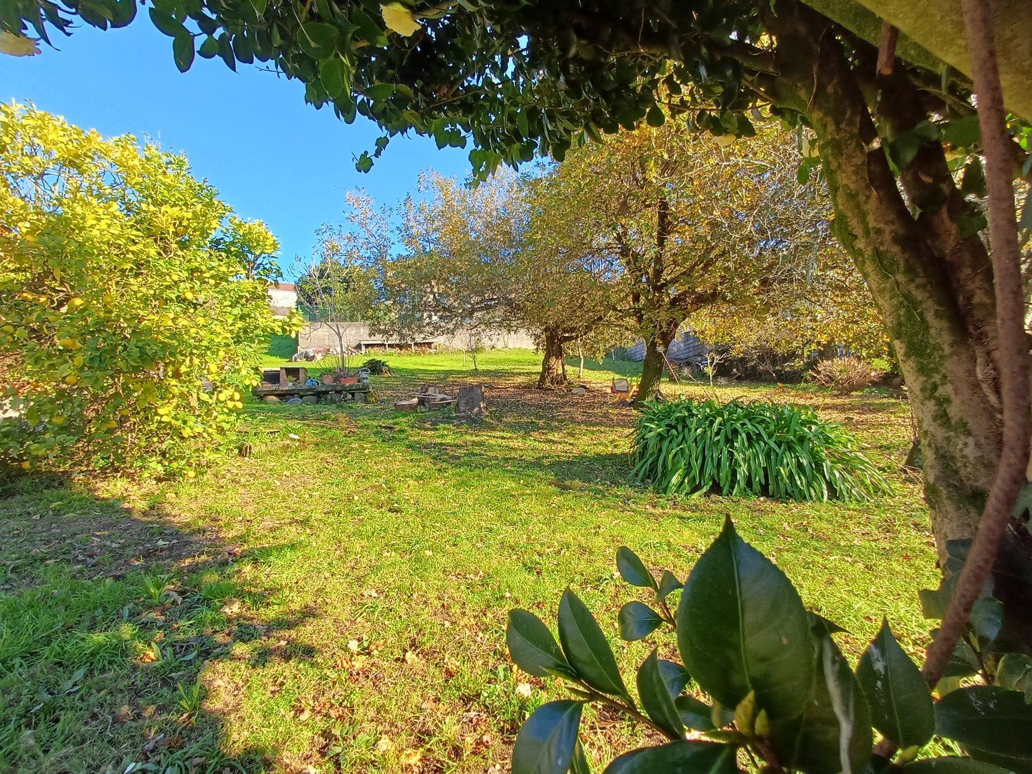 Fincas y solares-Venta-Vigo-2032748-Foto-37