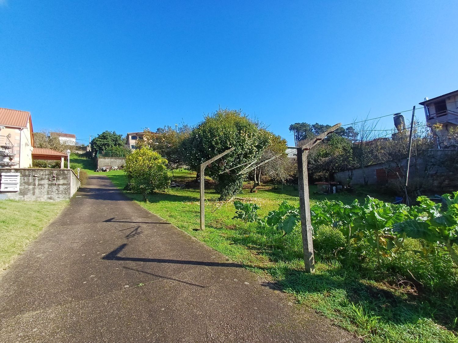 Fincas y solares-Venta-Vigo-2032751-Foto-6