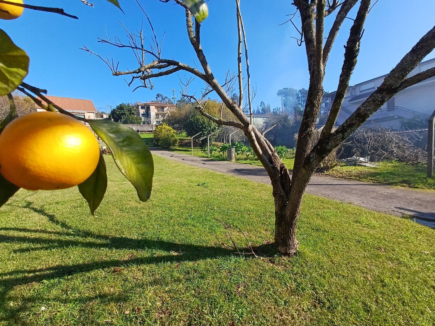 Fincas y solares-Venta-Vigo-2032751-Foto-4