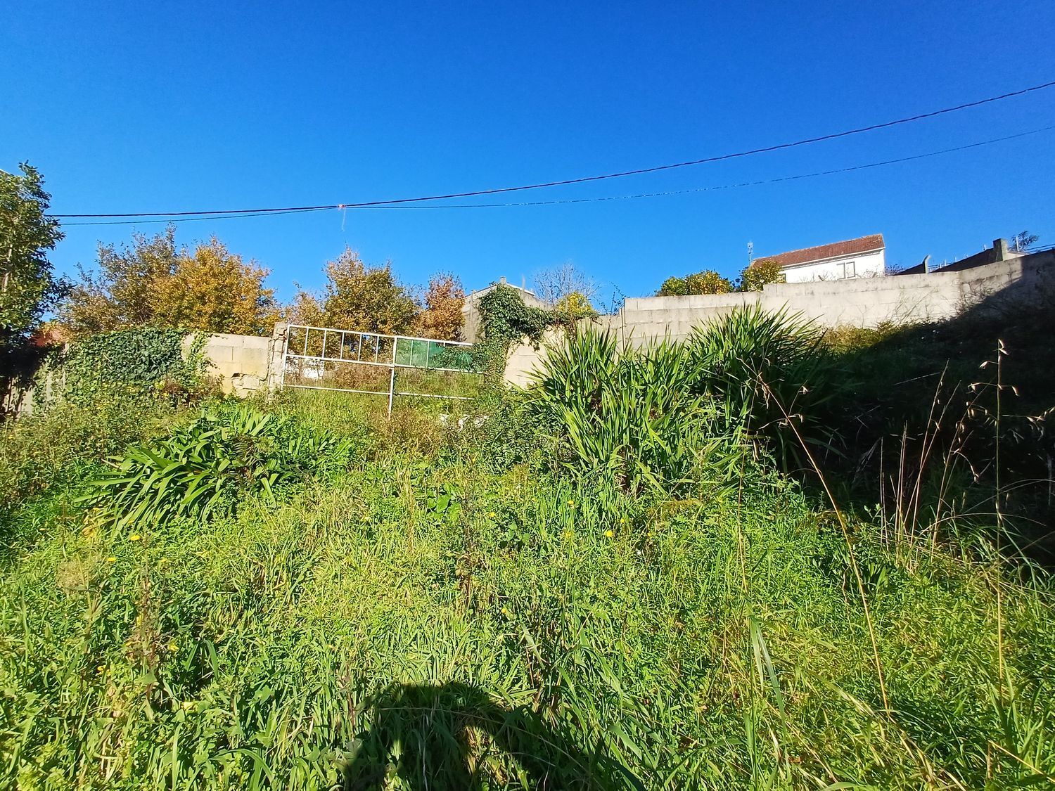 Fincas y solares-Venta-Vigo-2032751-Foto-15