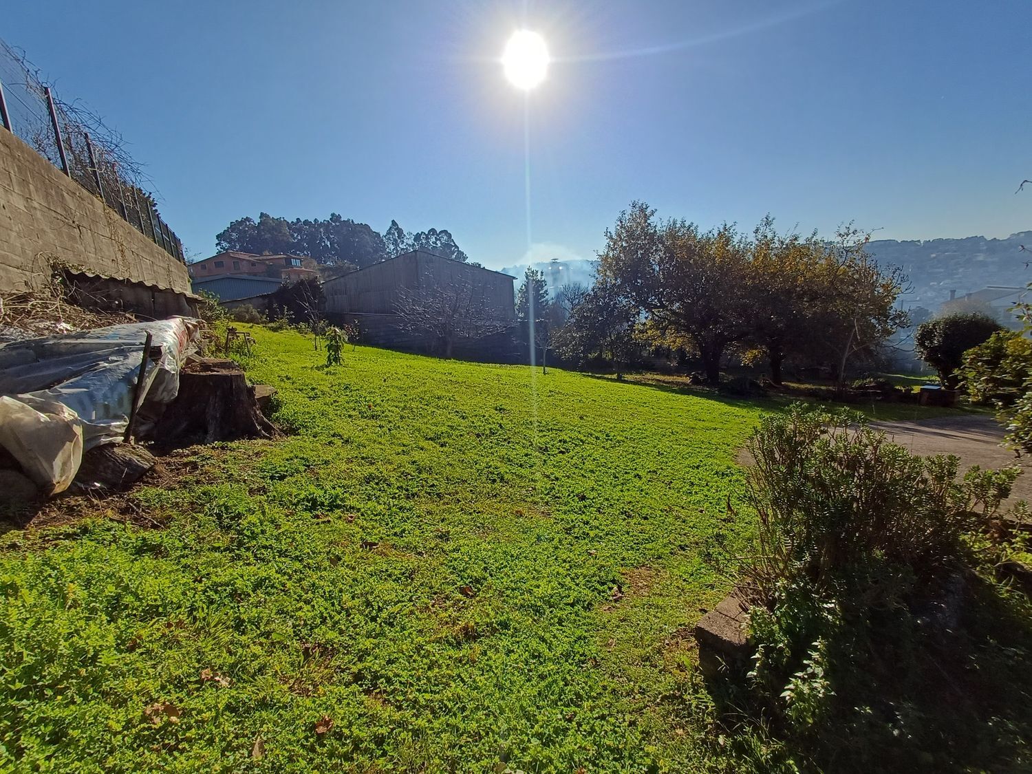 Fincas y solares-Venta-Vigo-2032751-Foto-18