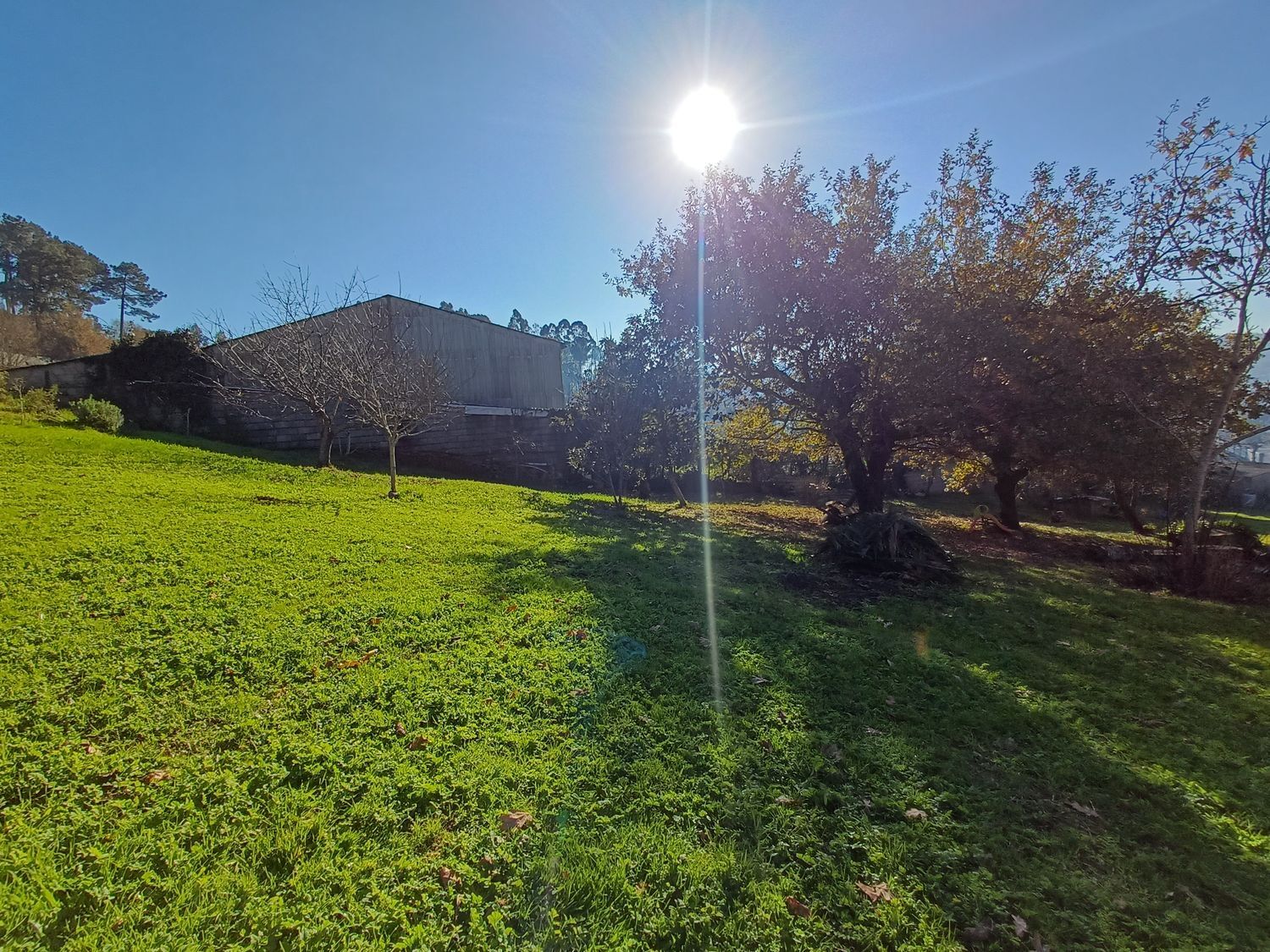 Fincas y solares-Venta-Vigo-2032751-Foto-26