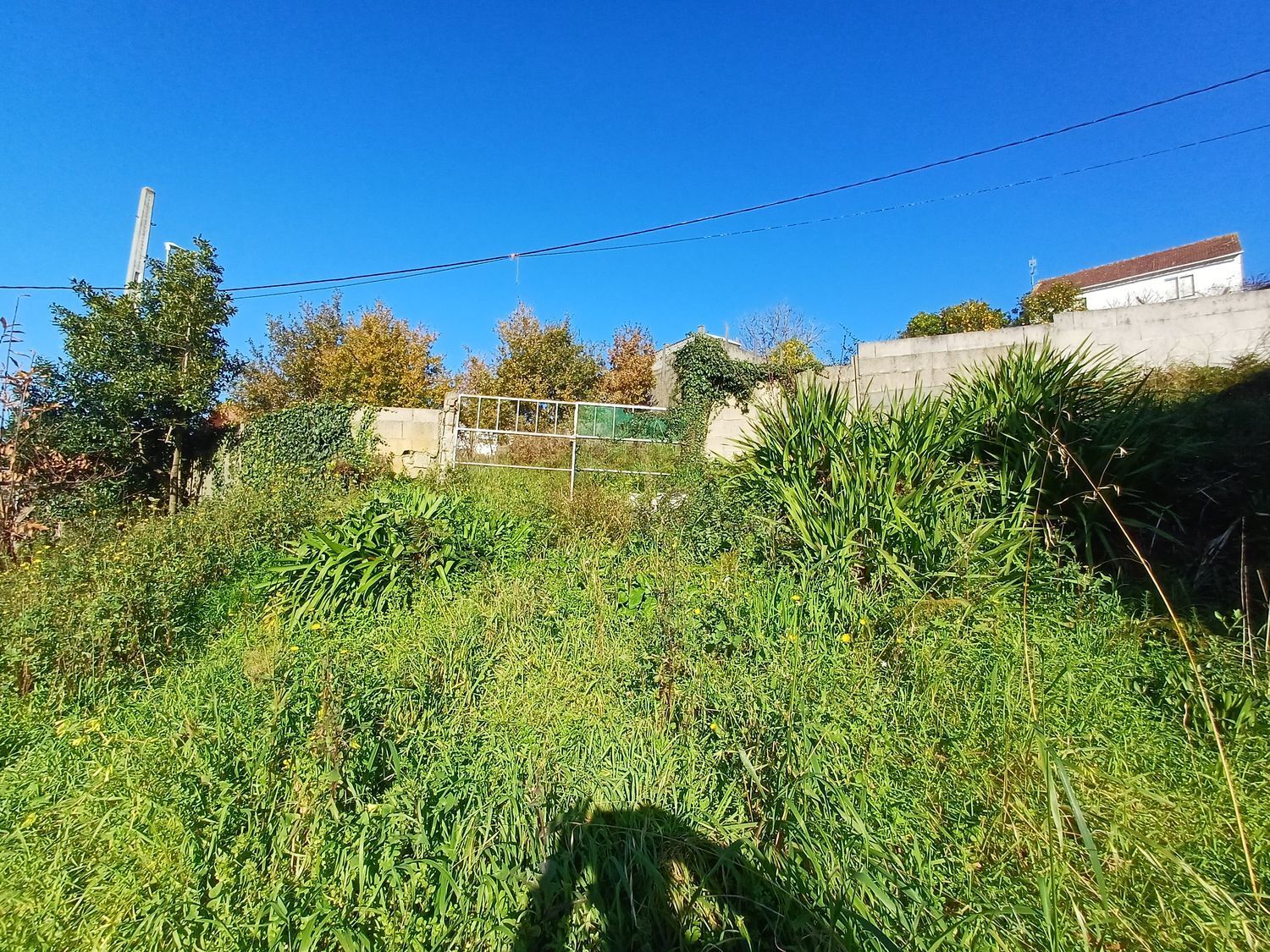 Fincas y solares-Venta-Vigo-2032751-Foto-16