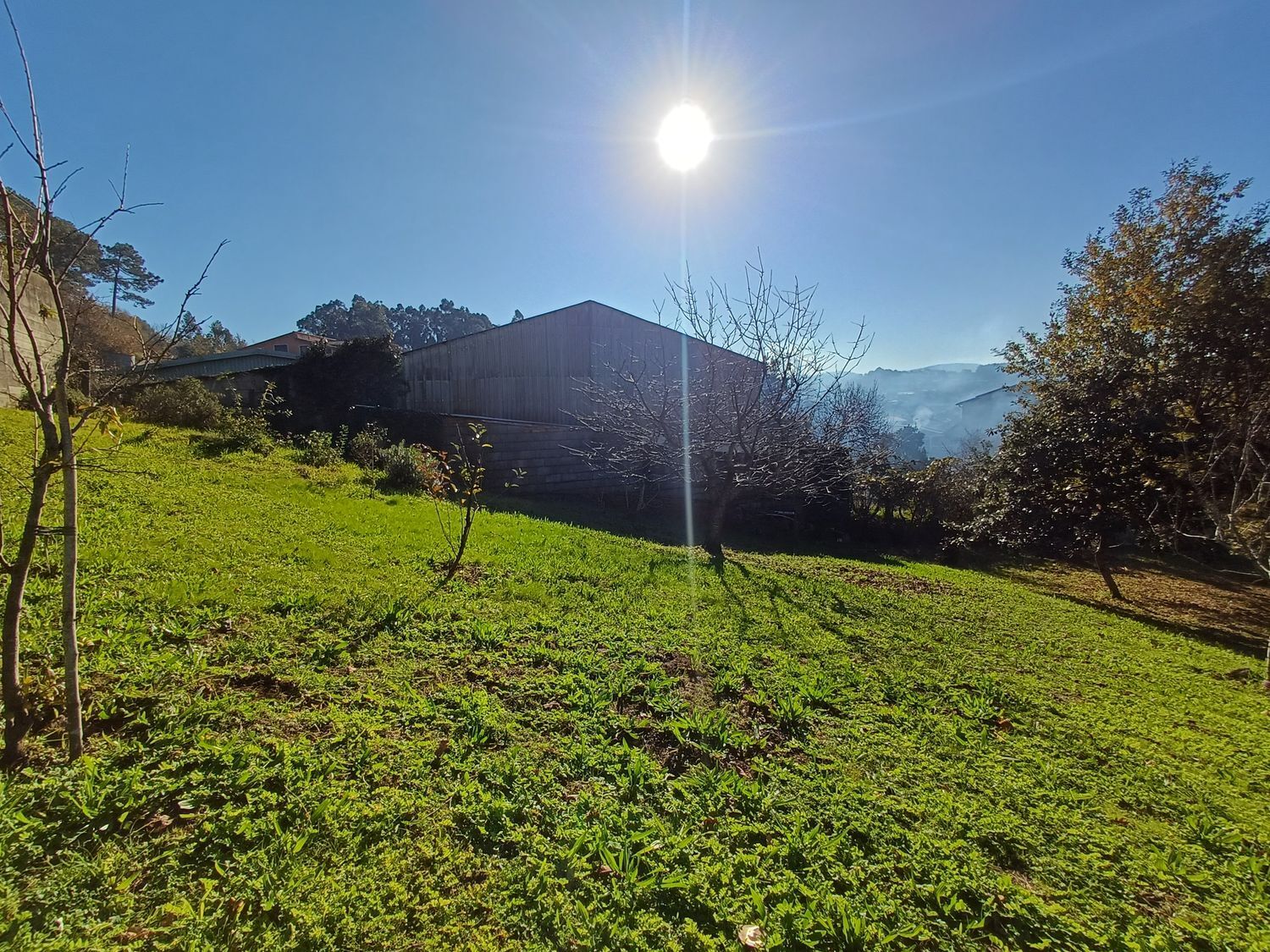 Fincas y solares-Venta-Vigo-2032751-Foto-22