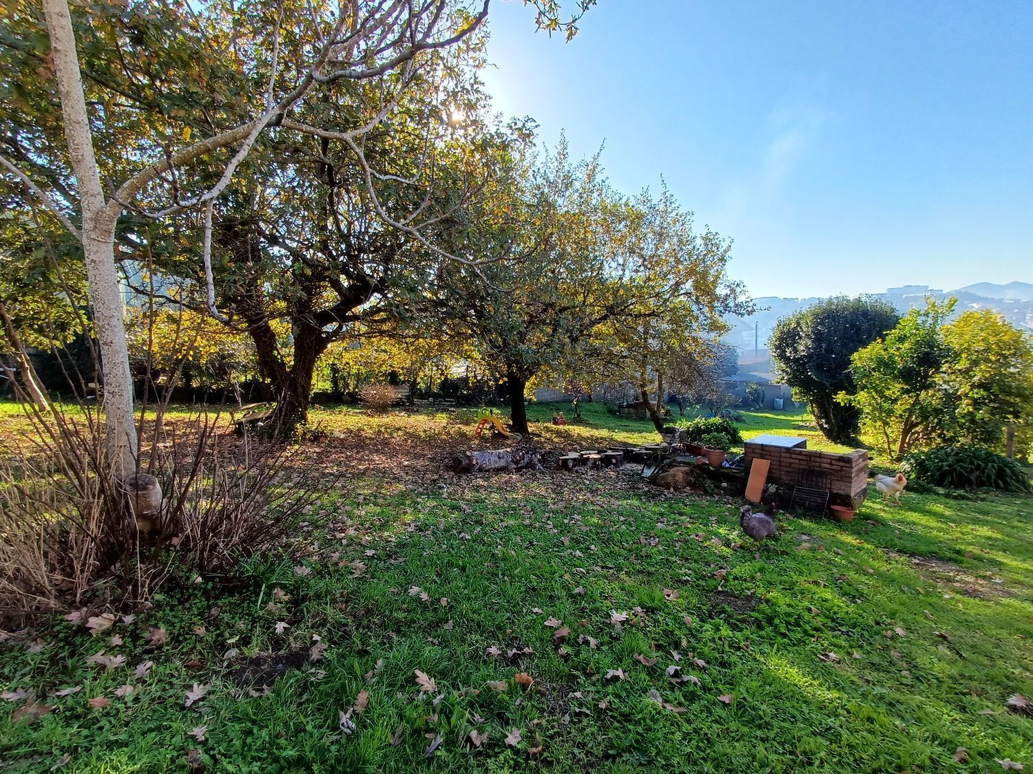 Fincas y solares-Venta-Vigo-2032751-Foto-27