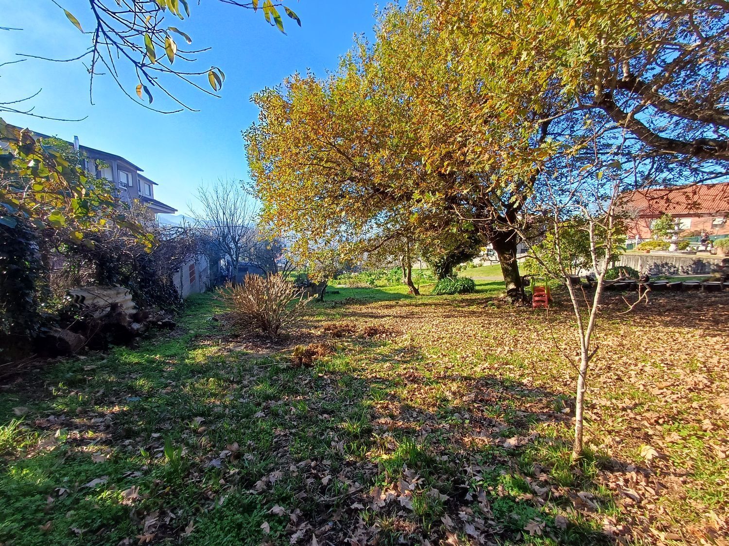 Fincas y solares-Venta-Vigo-2032751-Foto-29