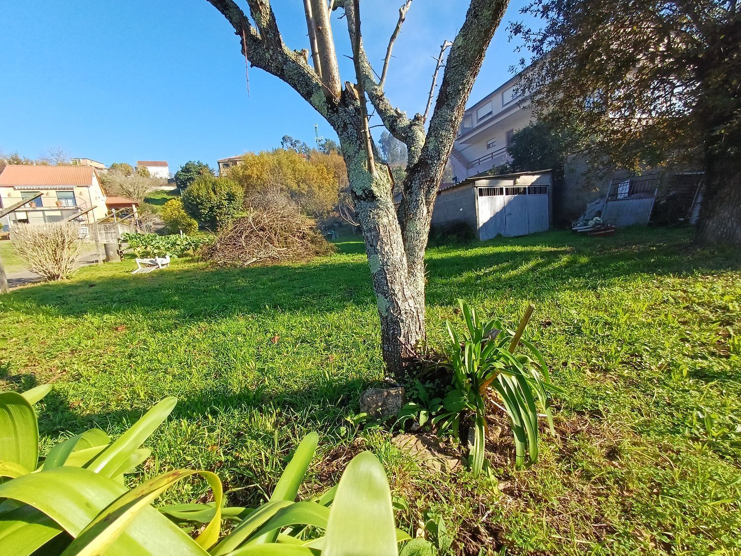 Fincas y solares-Venta-Vigo-2032751-Foto-33