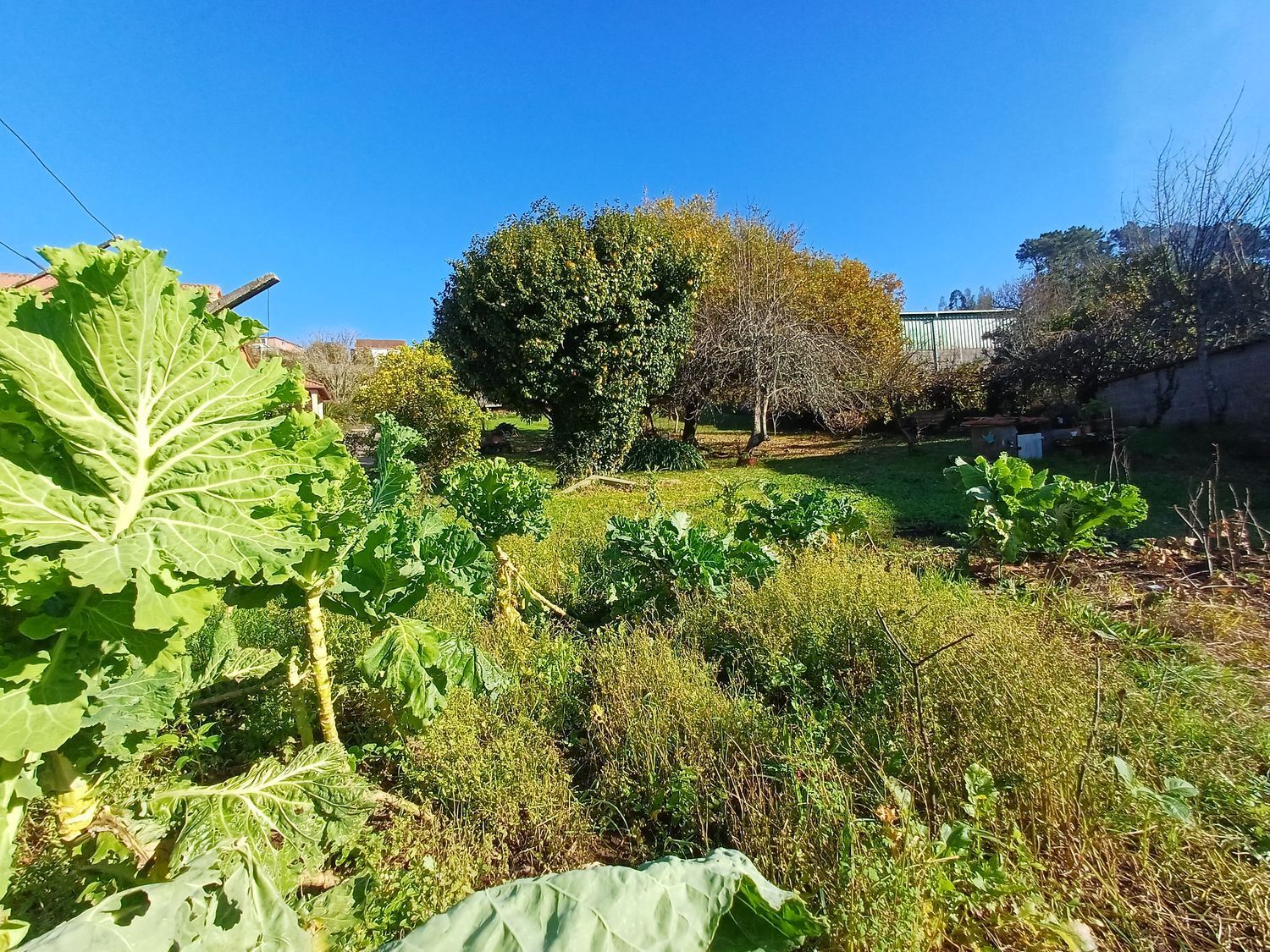 Fincas y solares-Venta-Vigo-2032751-Foto-43