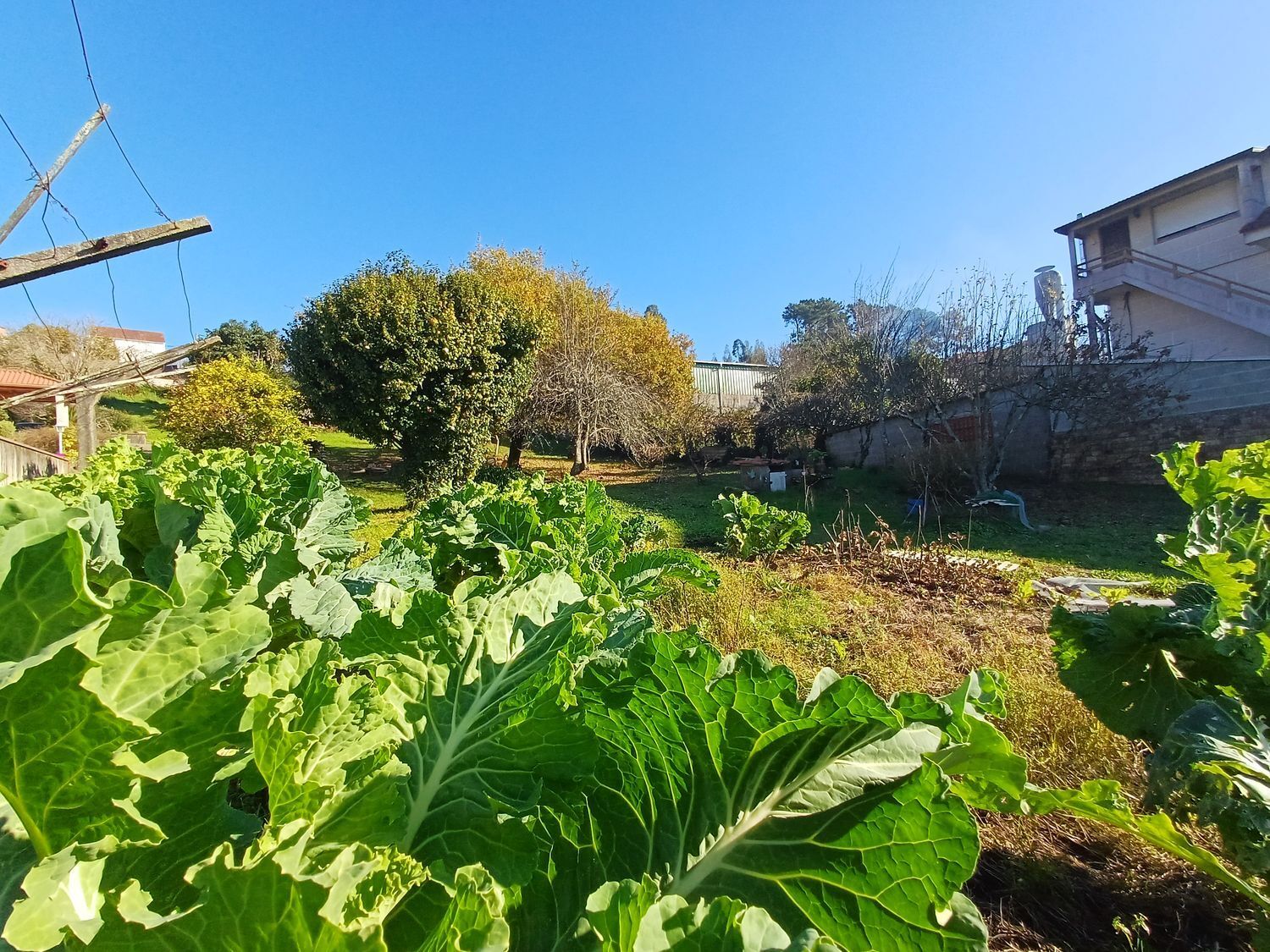 Fincas y solares-Venta-Vigo-2032751-Foto-40