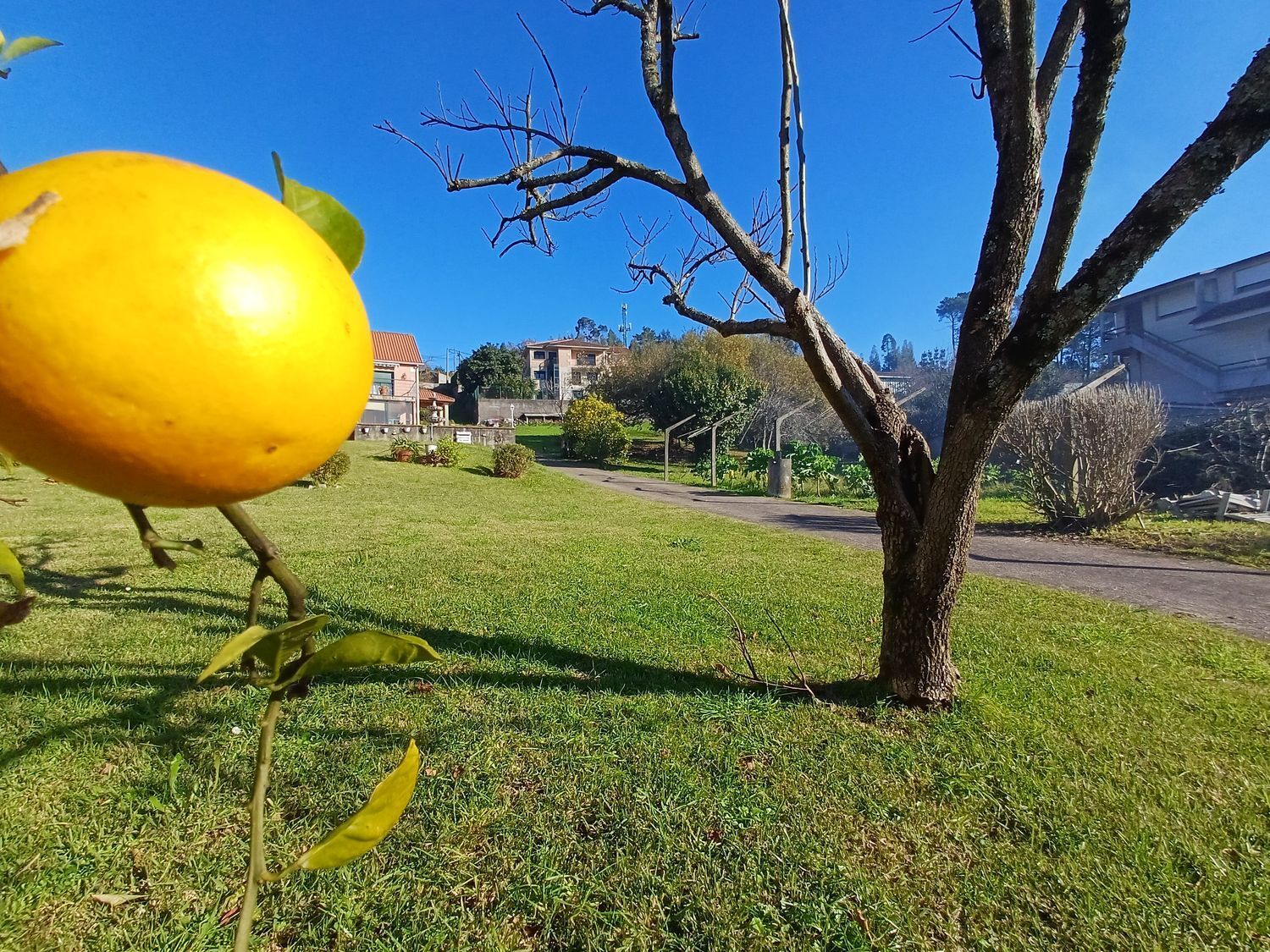 Fincas y solares-Venta-Vigo-2032751-Foto-39