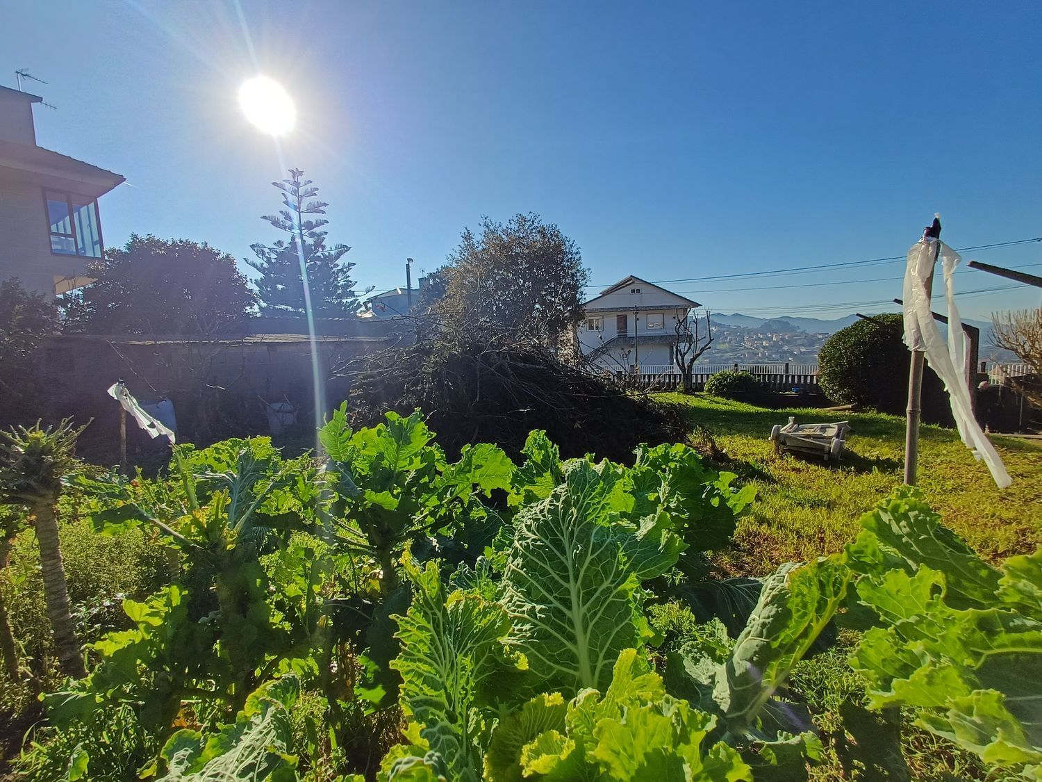 Fincas y solares-Venta-Vigo-2032751-Foto-42