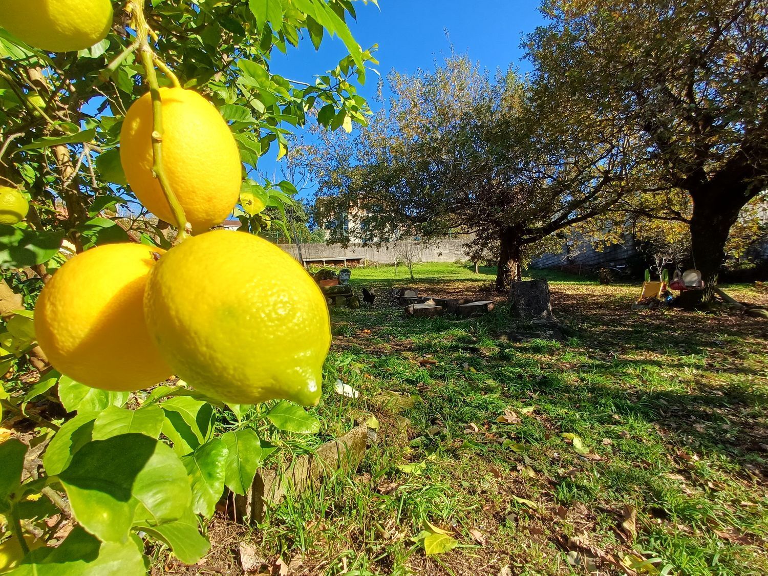 Fincas y solares-Venta-Vigo-2032751-Foto-45