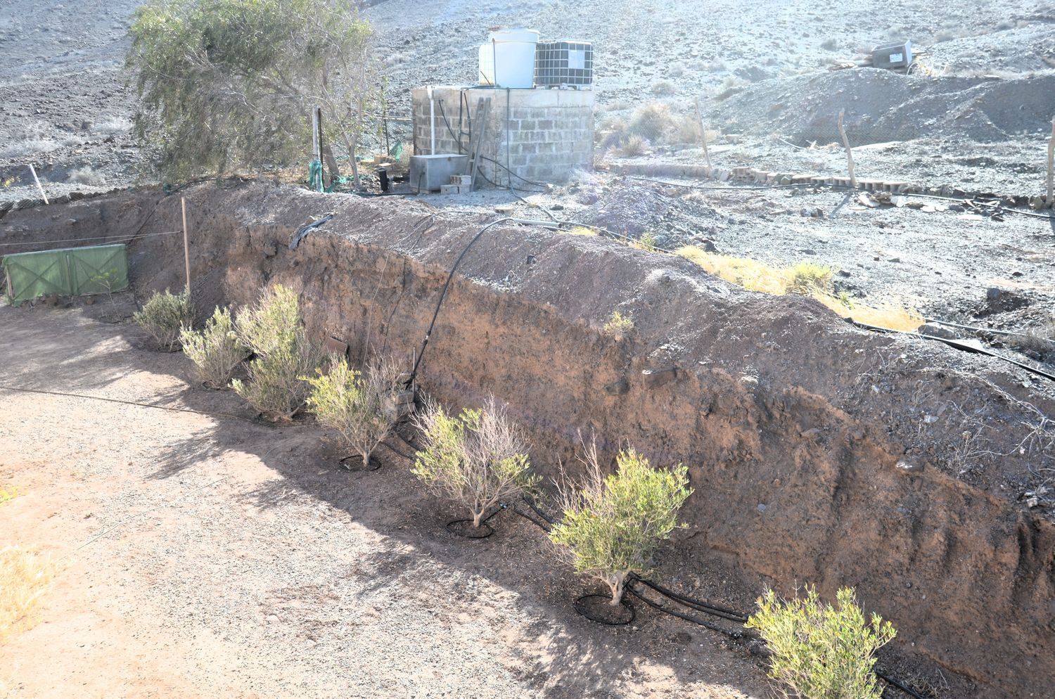 Casas o chalets-Venta-Tuineje-2032724-Foto-26