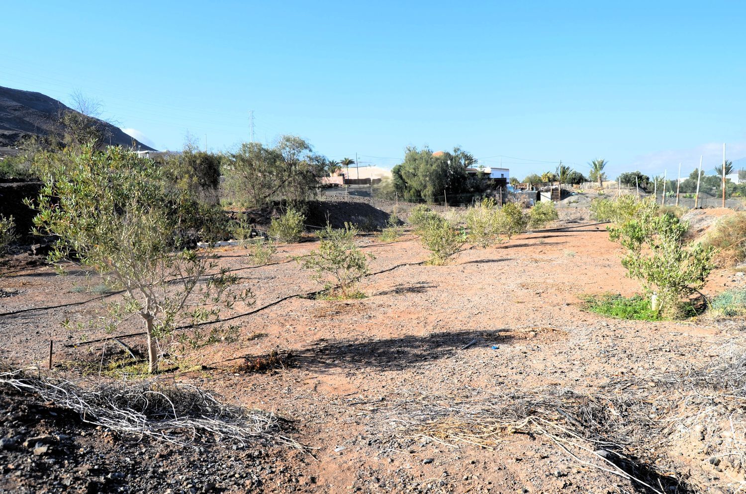 Casas o chalets-Venta-Tuineje-2032724-Foto-27