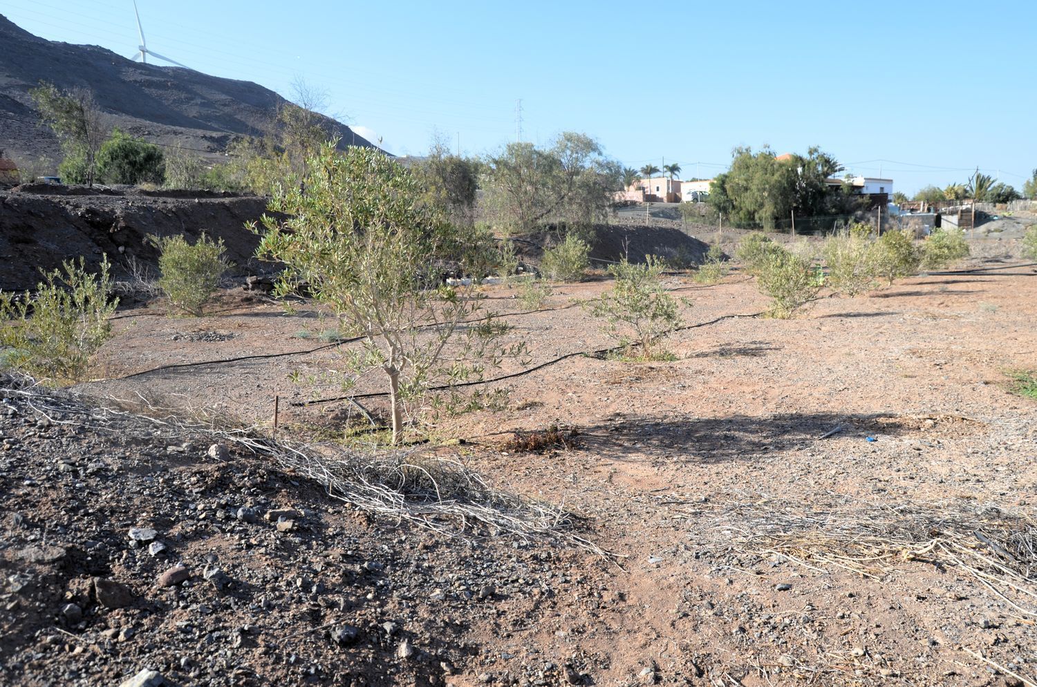 Casas o chalets-Venta-Tuineje-2032724-Foto-28